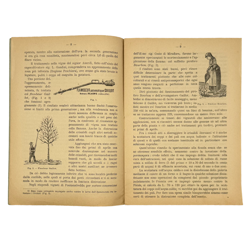 La Lotta Contro La Tignola Dell'Uva by Cavazza, Domizio, a rare example image of the 1891 - wine book.