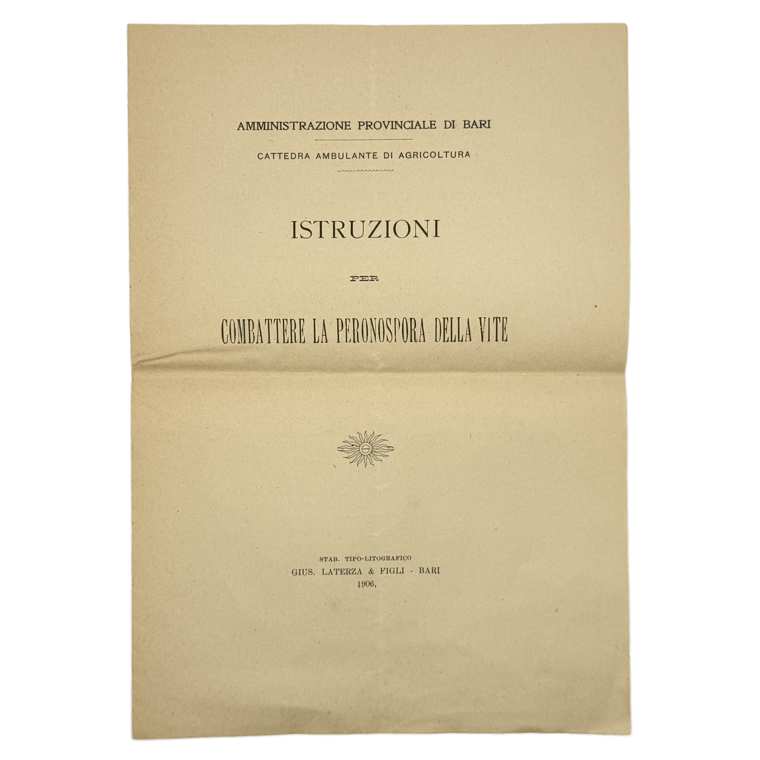 Istruzioni Per Combattere La Peronospora Della Vite by Briganti, G., a rare detail view of the 1906 - wine book.