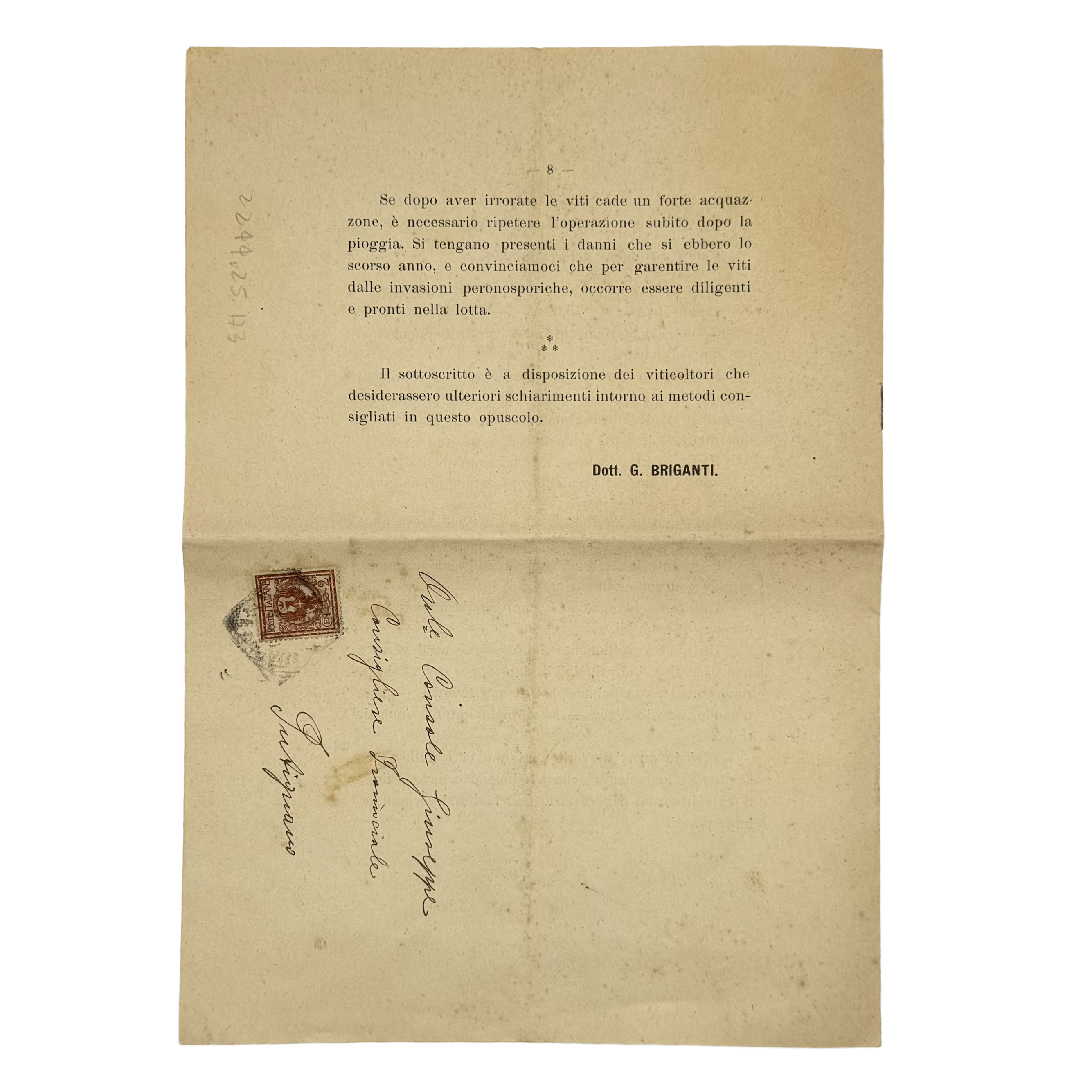 Istruzioni Per Combattere La Peronospora Della Vite by Briganti, G., a rare interior highlight of the 1906 - wine book.