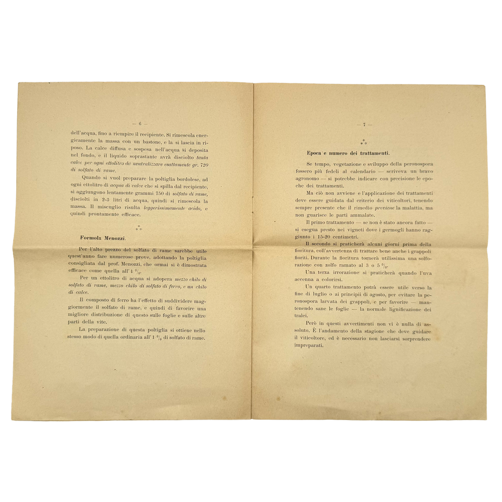 Istruzioni Per Combattere La Peronospora Della Vite by Briganti, G., a rare selected detail of the 1906 - wine book.