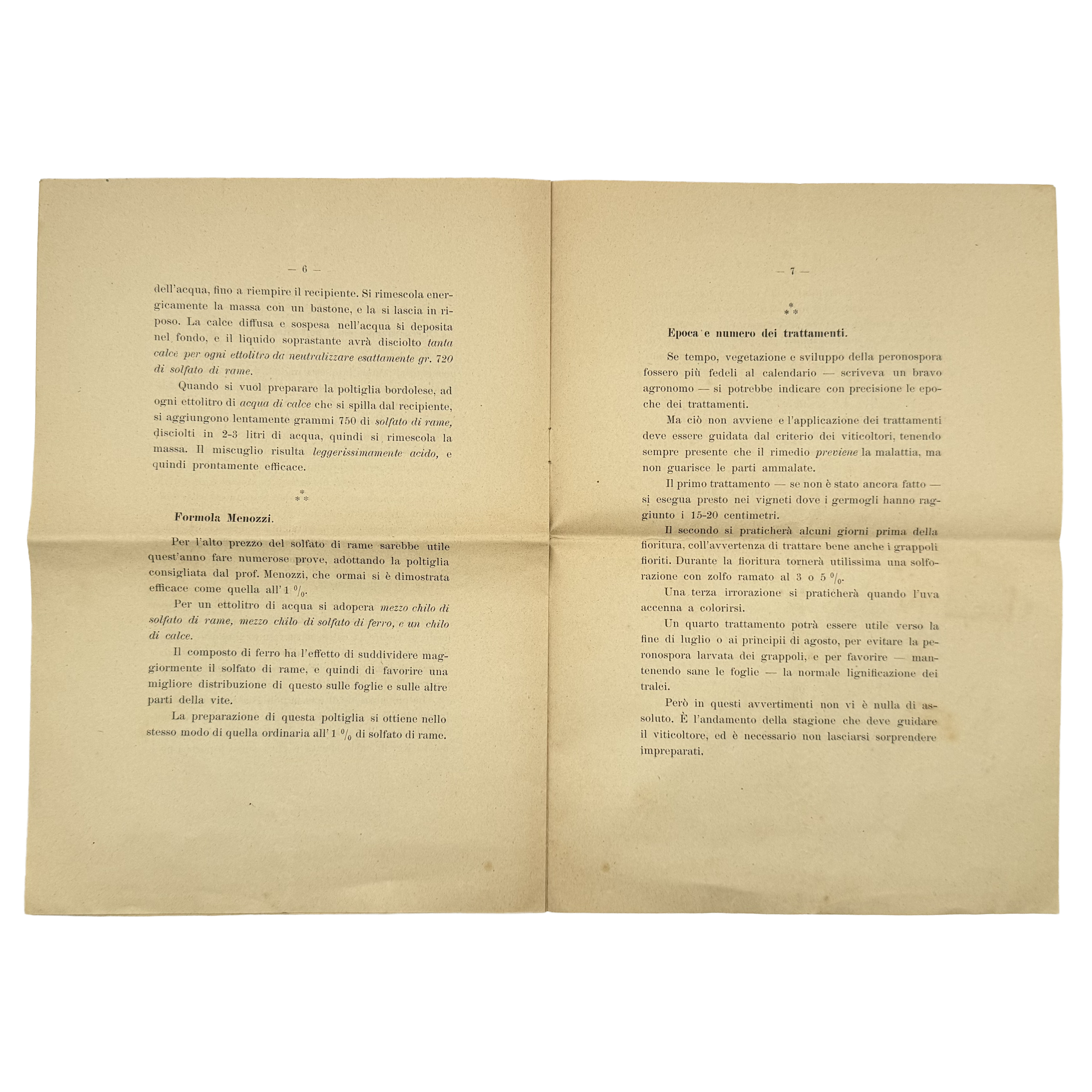 Istruzioni Per Combattere La Peronospora Della Vite by Briganti, G., a rare selected detail of the 1906 - wine book.