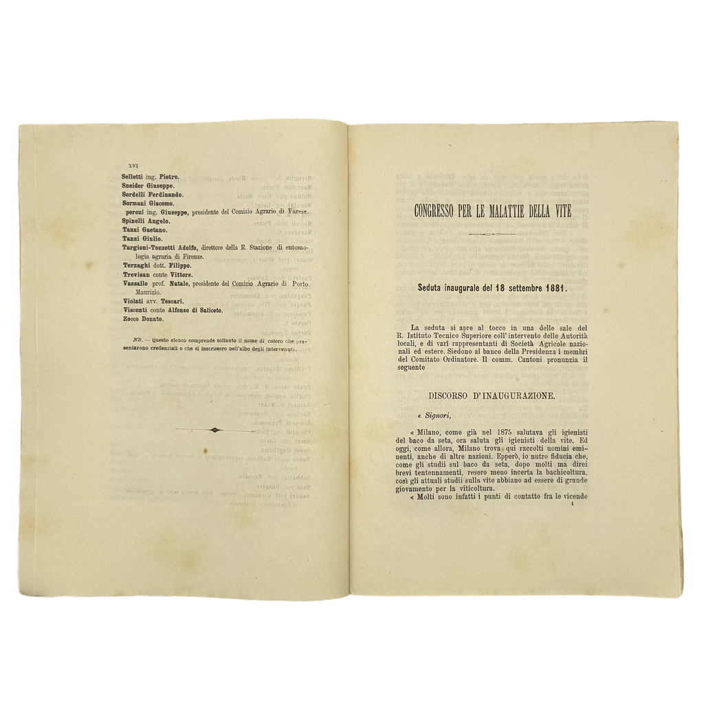 Atti Del Primo Congresso Per Le Malattie Della Vite by Various Authors, a rare interesting detail of the 1882 - wine book.
