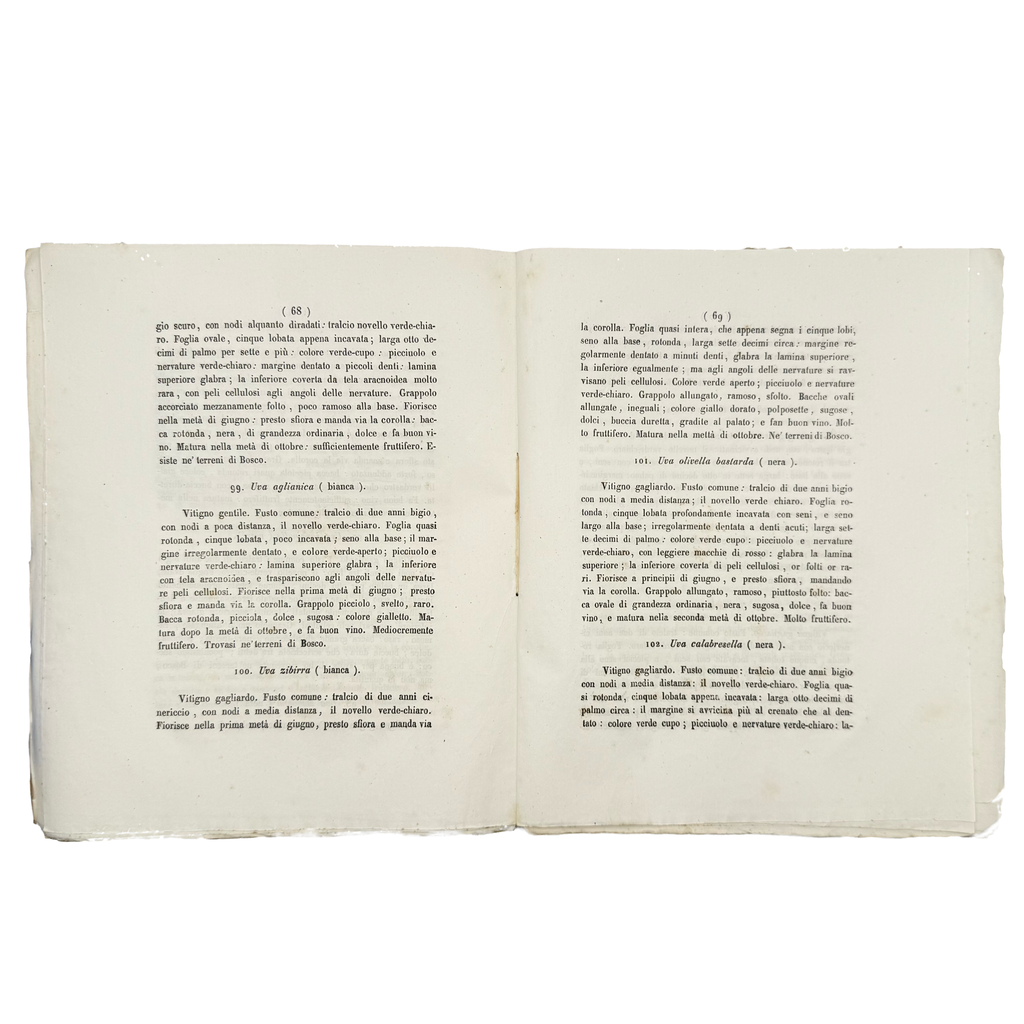 Delle Varietà De' Vitigni Del Vesuvio E Del Somma by Semmola, Vincenzo, a rare fascinating view of the 1848 - wine book.