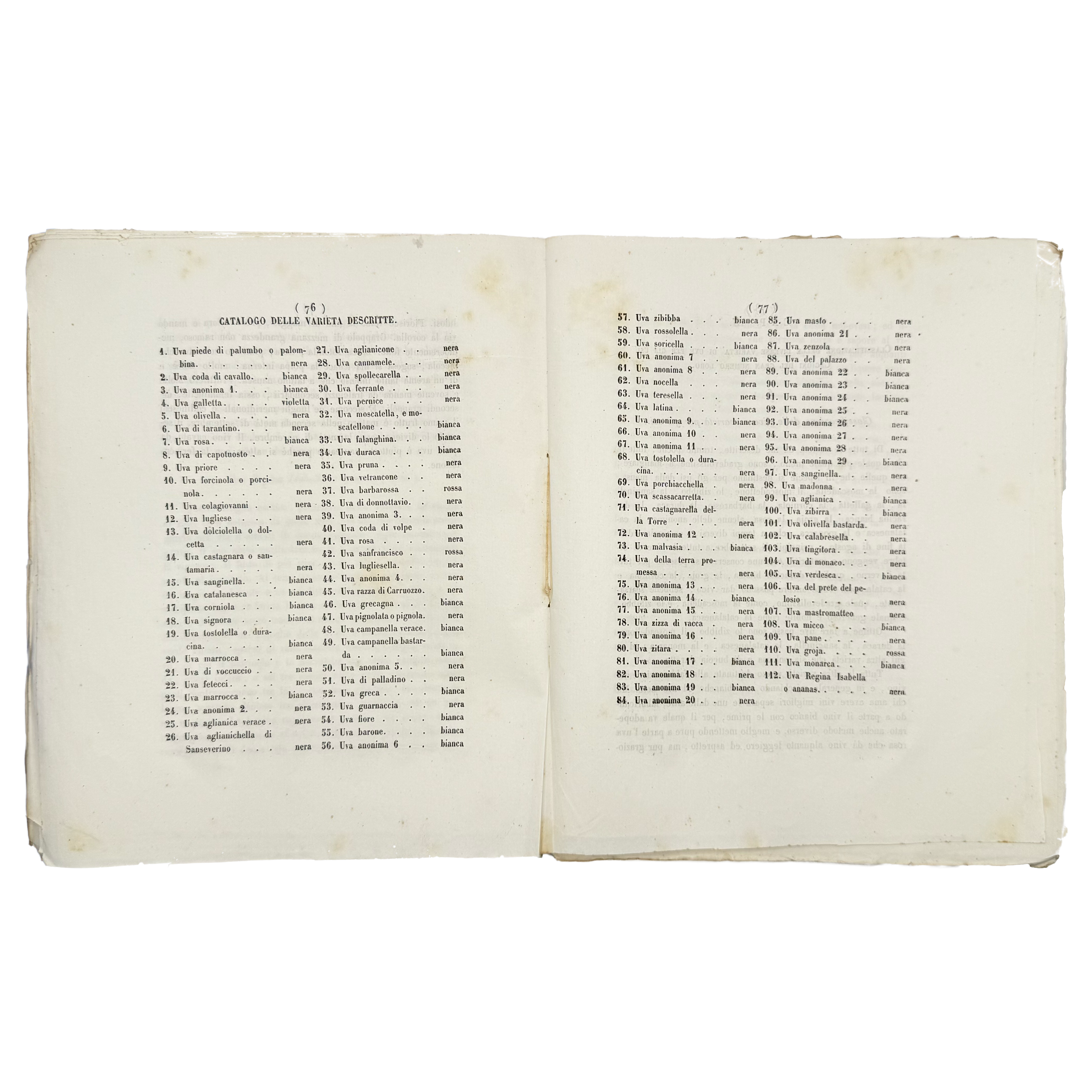 Delle Varietà De' Vitigni Del Vesuvio E Del Somma by Semmola, Vincenzo, a rare representative view of the 1848 - wine book.