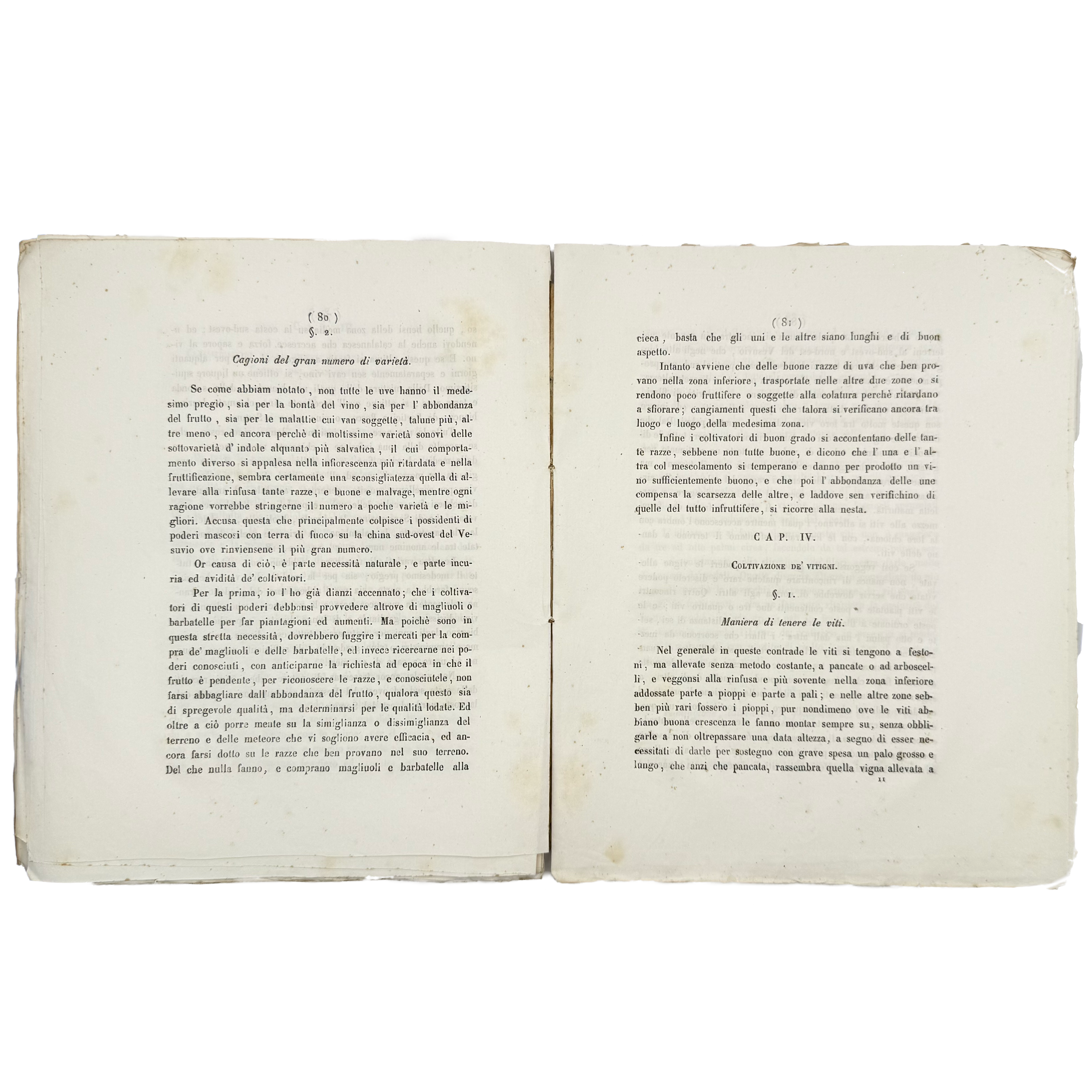 Delle Varietà De' Vitigni Del Vesuvio E Del Somma by Semmola, Vincenzo, a rare feature view of the 1848 - wine book.