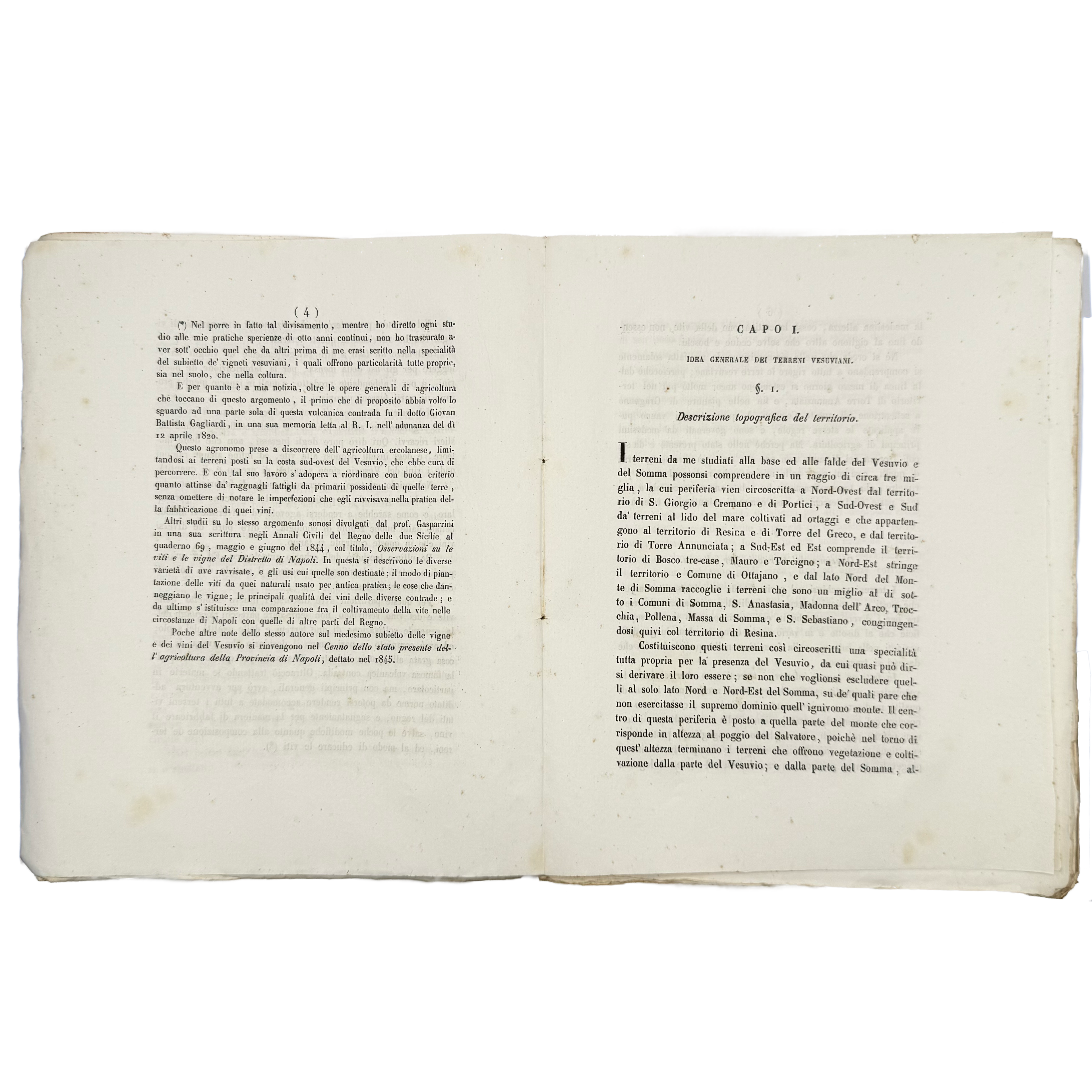 Delle Varietà De' Vitigni Del Vesuvio E Del Somma by Semmola, Vincenzo, a rare fascinating view of the 1848 - wine book.