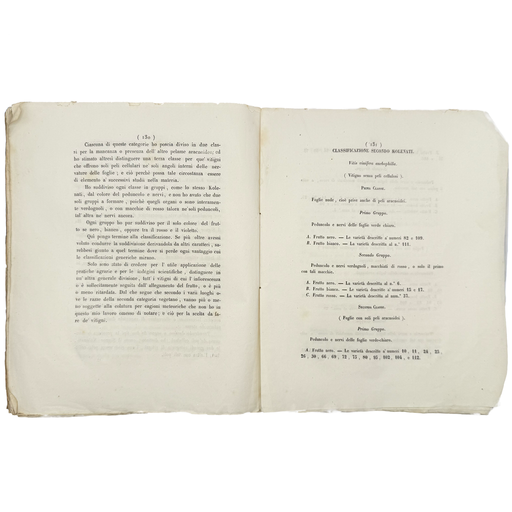 Delle Varietà De' Vitigni Del Vesuvio E Del Somma by Semmola, Vincenzo, a rare view of the 1848 - wine book.