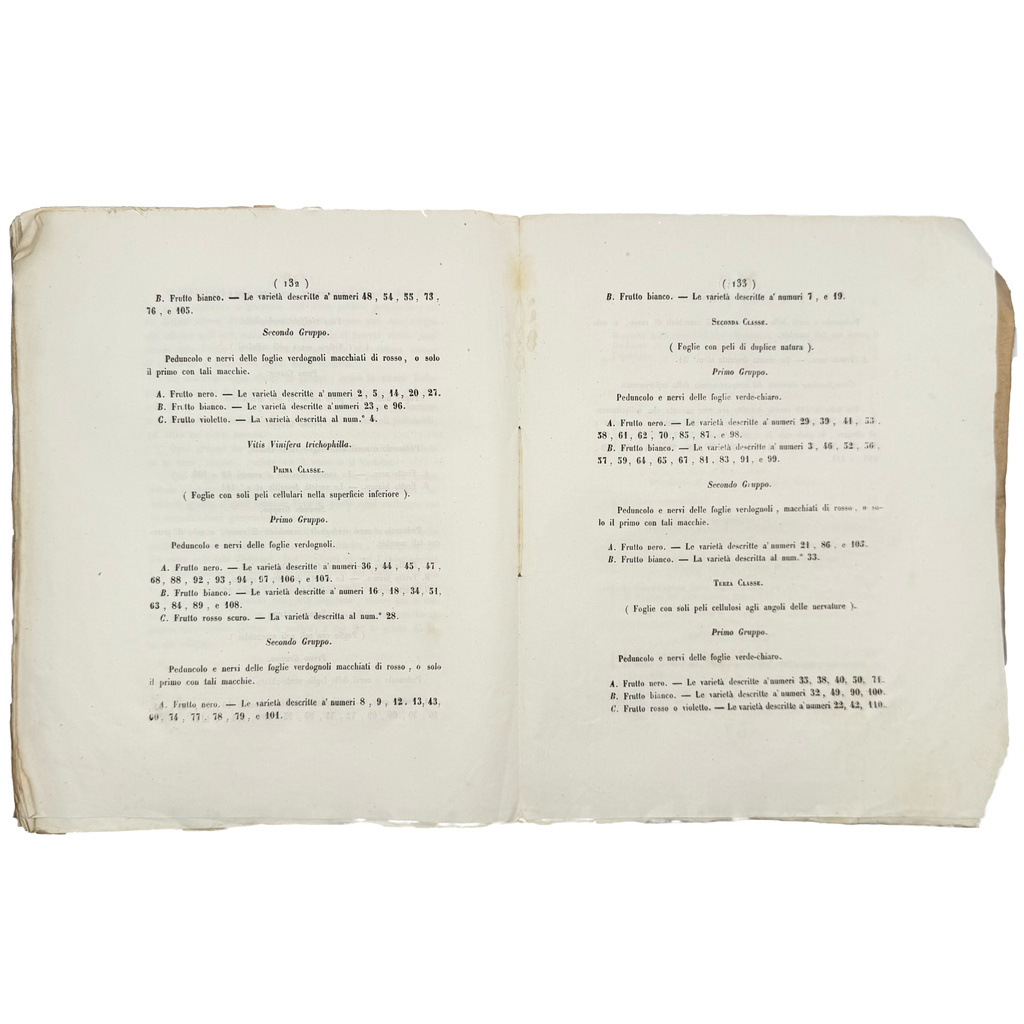 Delle Varietà De' Vitigni Del Vesuvio E Del Somma by Semmola, Vincenzo, a rare illustrated detail of the 1848 - wine book.