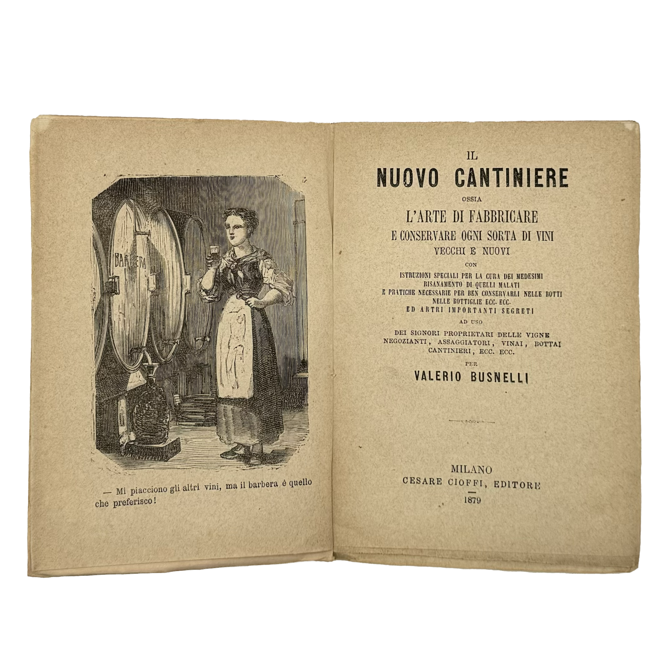 Il Nuovo Cantiniere by Busnelli, Valerio, a rare captivating detail of the 1879 - wine book.