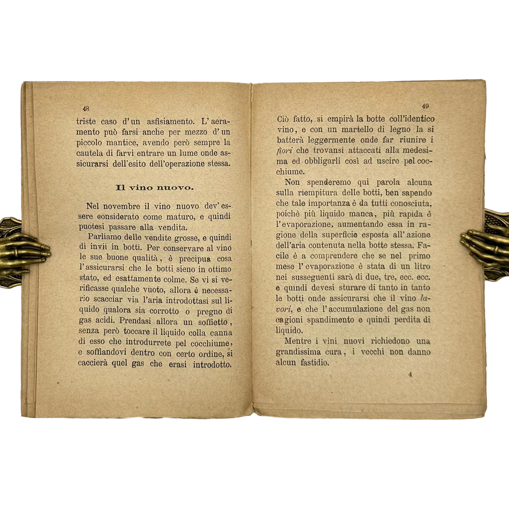 Il Nuovo Cantiniere by Busnelli, Valerio, a rare image from the book of the 1879 - wine book.