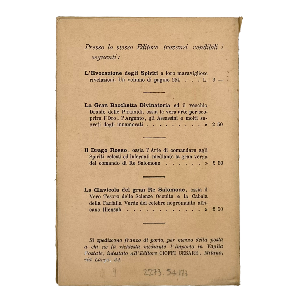 Il Nuovo Cantiniere by Busnelli, Valerio, a rare representative view of the 1879 - wine book.