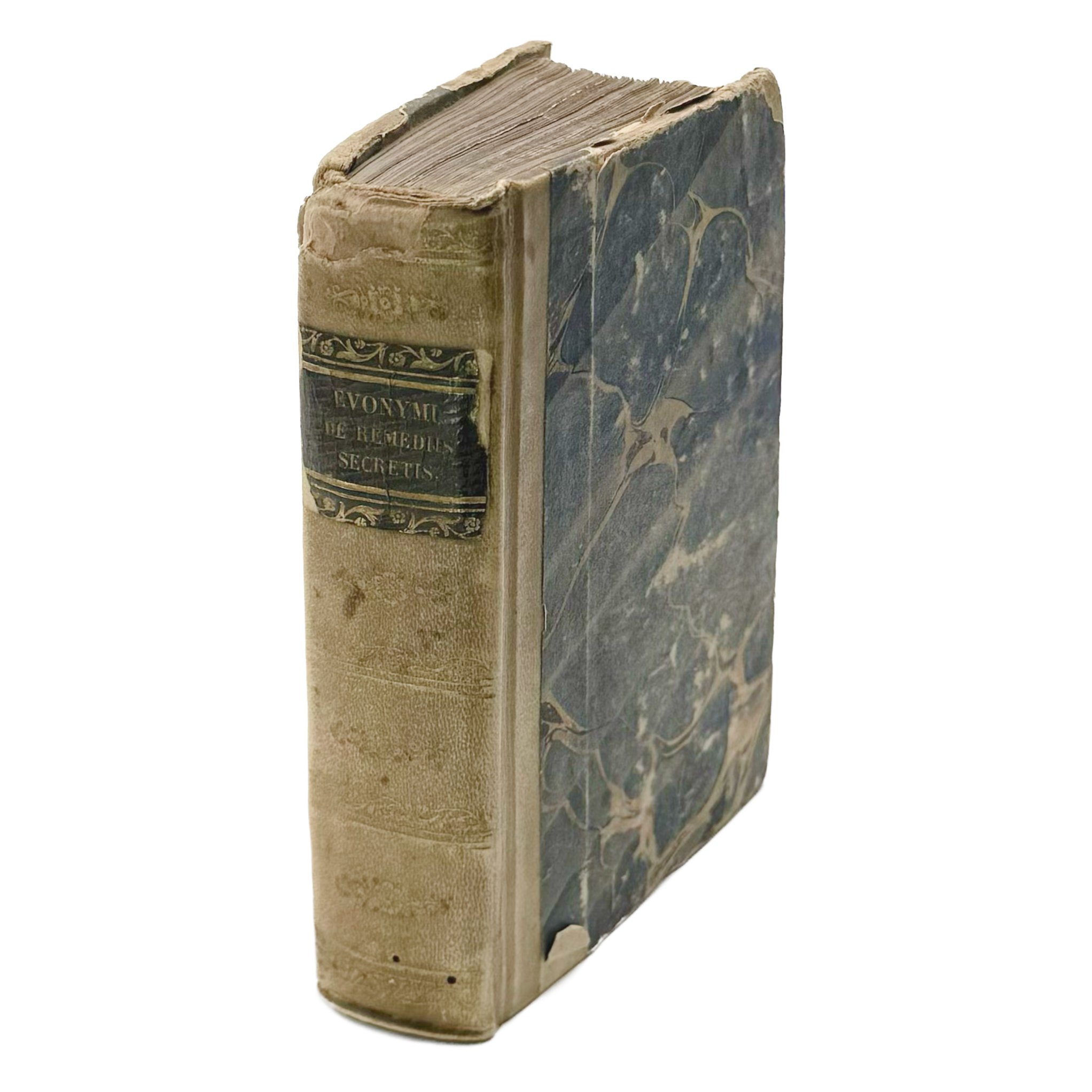 Thesaurus Euonymi Philiatri De Remediis Secretis by Gesner, Conrad, a rare interesting detail of the 1554 - illustrated book.