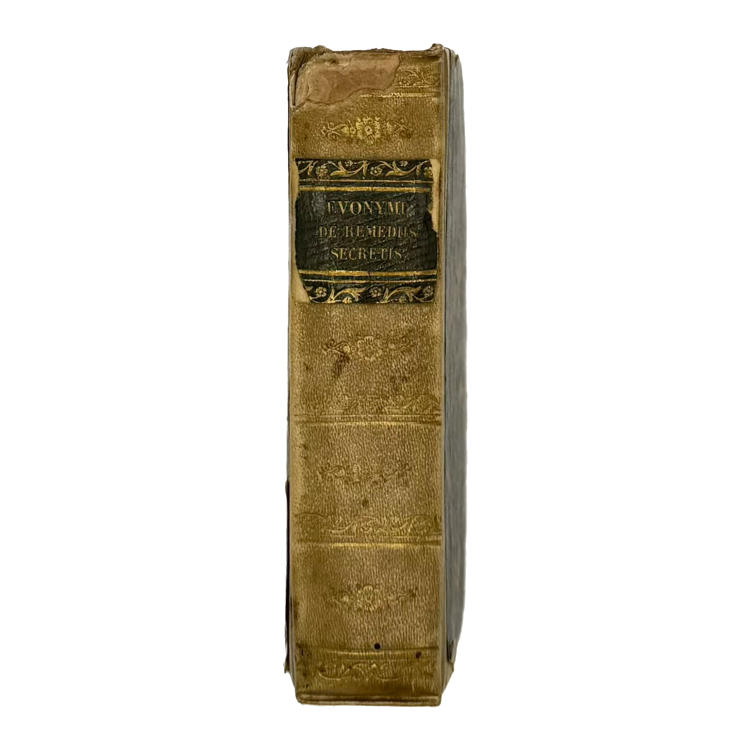 Thesaurus Euonymi Philiatri De Remediis Secretis by Gesner, Conrad, a rare view of the 1554 - illustrated book.