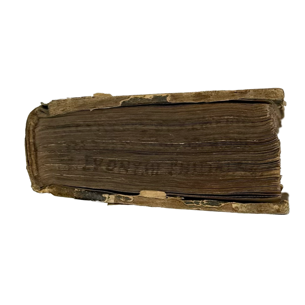Thesaurus Euonymi Philiatri De Remediis Secretis by Gesner, Conrad, a rare selected detail of the 1554 - illustrated book.