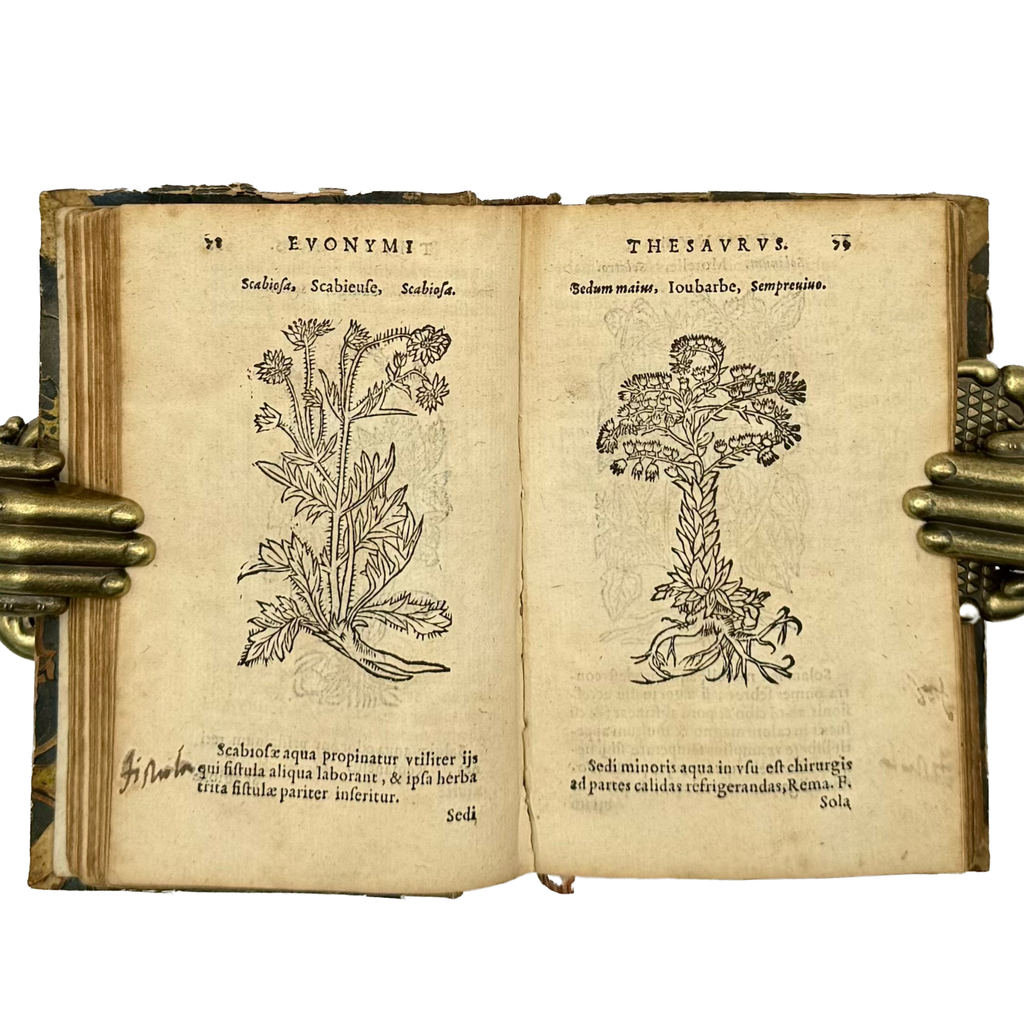 Thesaurus Euonymi Philiatri De Remediis Secretis by Gesner, Conrad, a rare view of the 1554 - illustrated book.