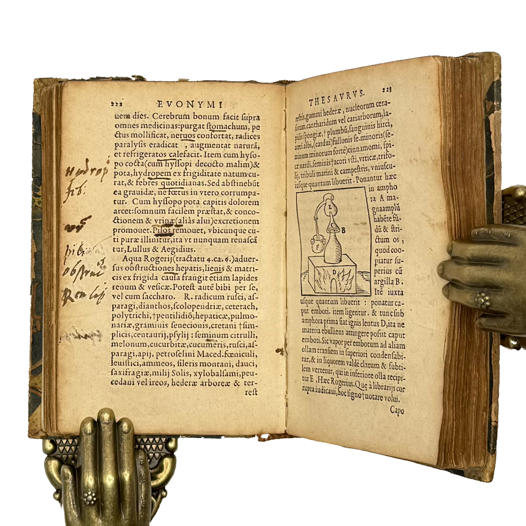 Thesaurus Euonymi Philiatri De Remediis Secretis by Gesner, Conrad, a rare feature view of the 1554 - illustrated book.