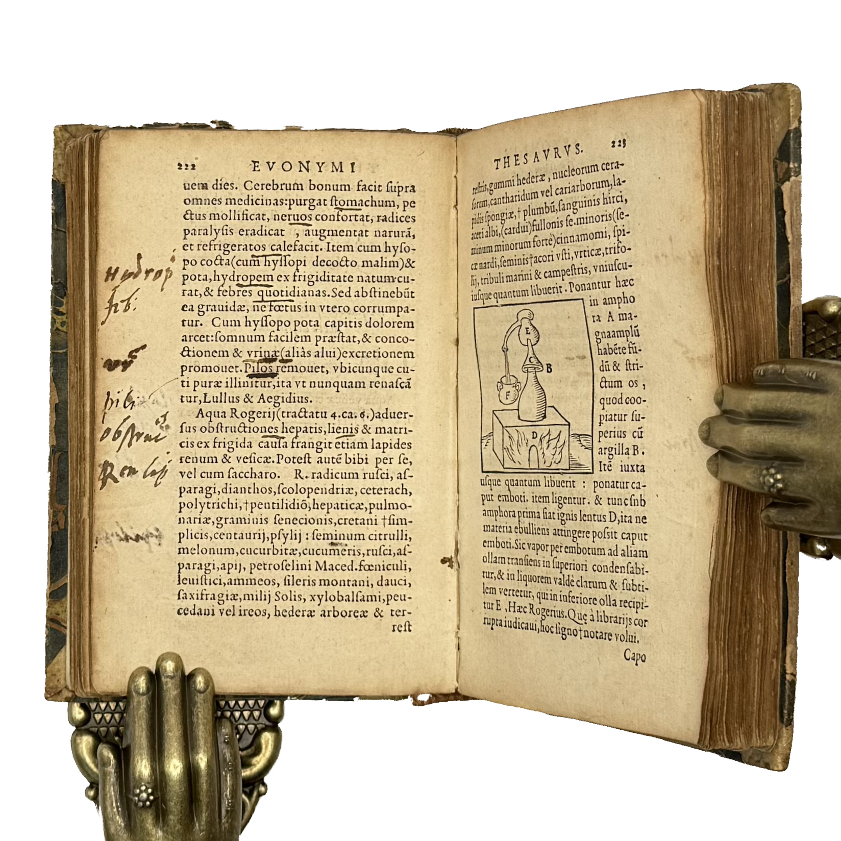 Thesaurus Euonymi Philiatri De Remediis Secretis by Gesner, Conrad, a rare feature view of the 1554 - illustrated book.