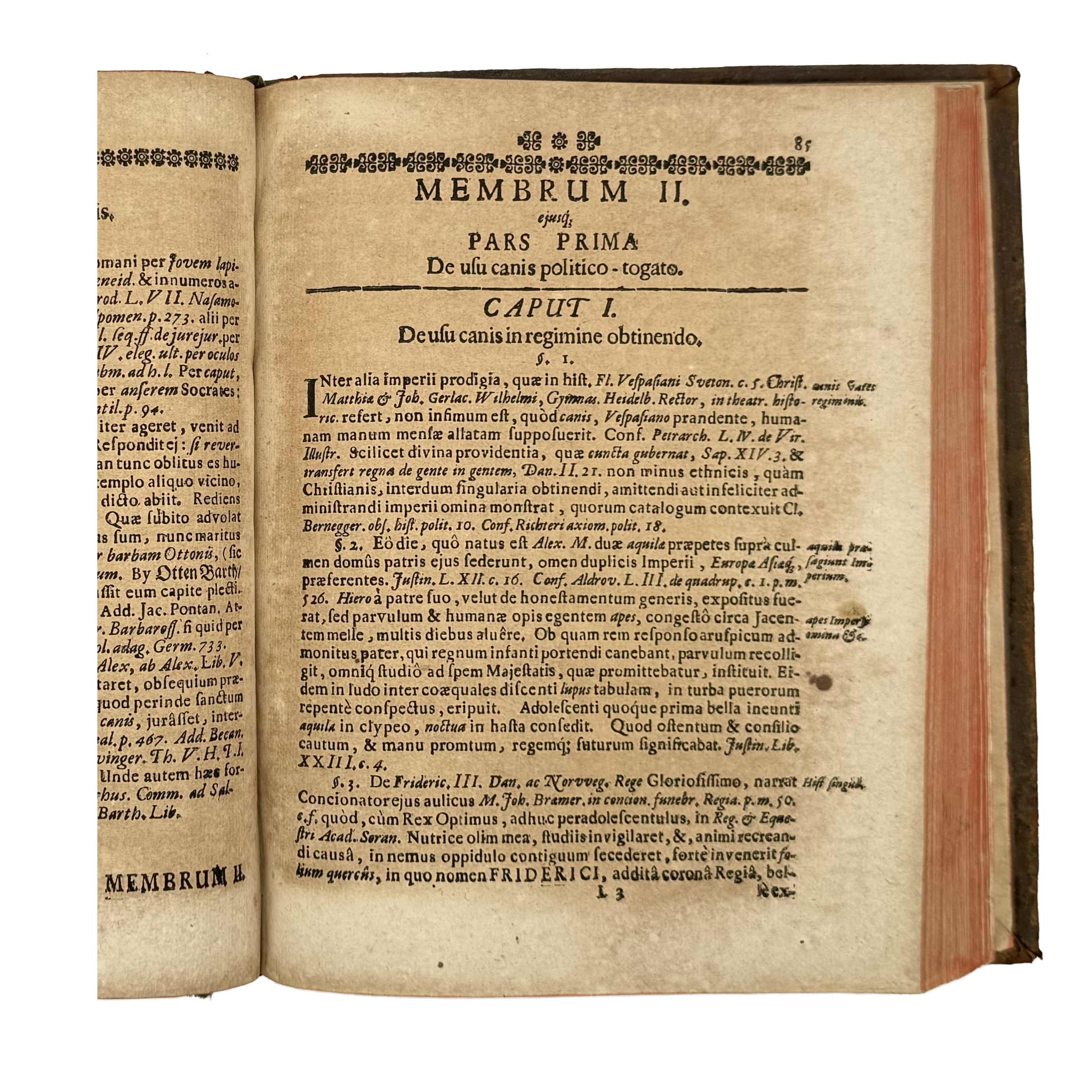 Cynographia Curiosa Seu Canis Descriptio by Paullini, Christian Franz; Paolini, Cristiano Francesco, a rare interesting detail of the 1685 - curiosa & occulta book.