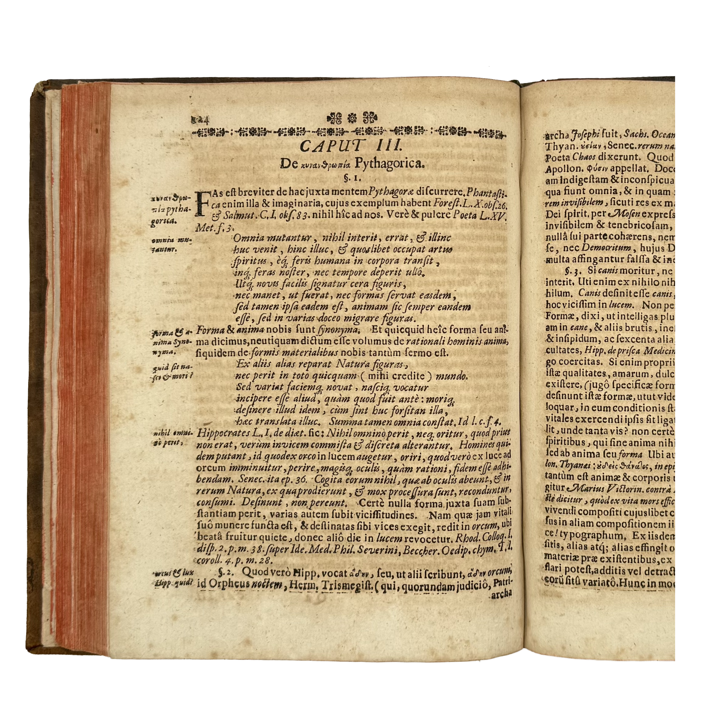 Cynographia Curiosa Seu Canis Descriptio by Paullini, Christian Franz; Paolini, Cristiano Francesco, a rare fascinating view of the 1685 - curiosa & occulta book.