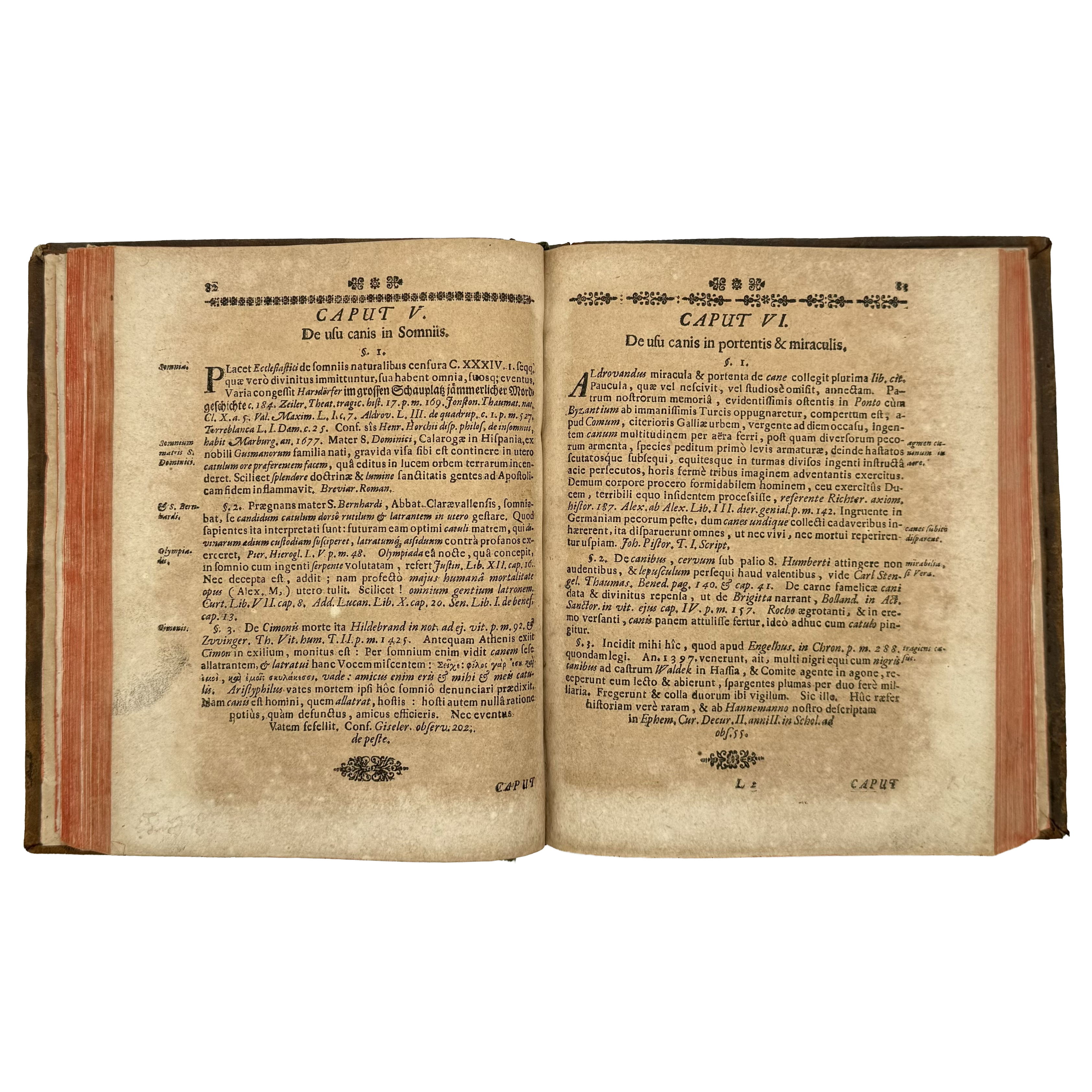 Cynographia Curiosa Seu Canis Descriptio by Paullini, Christian Franz; Paolini, Cristiano Francesco, a rare interesting detail of the 1685 - curiosa & occulta book.