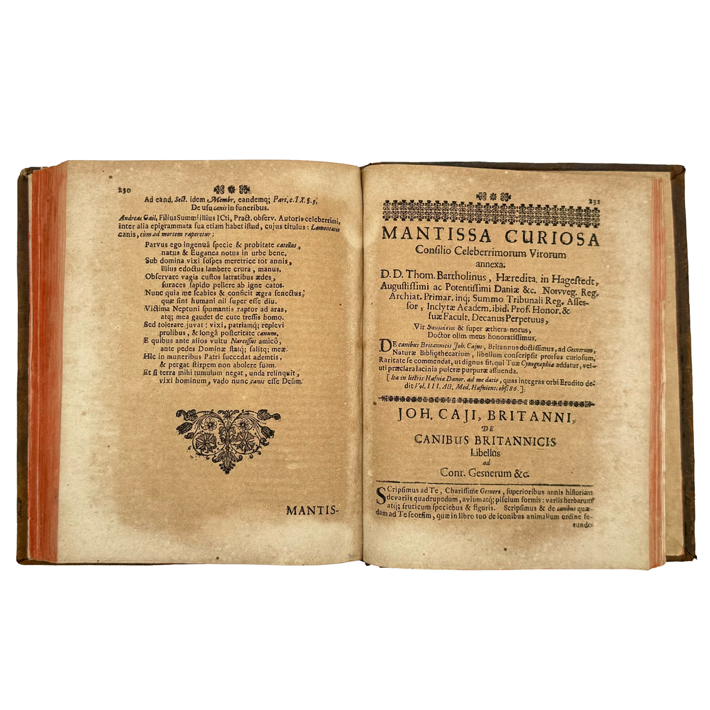 Cynographia Curiosa Seu Canis Descriptio by Paullini, Christian Franz; Paolini, Cristiano Francesco, a rare interesting detail of the 1685 - curiosa & occulta book.