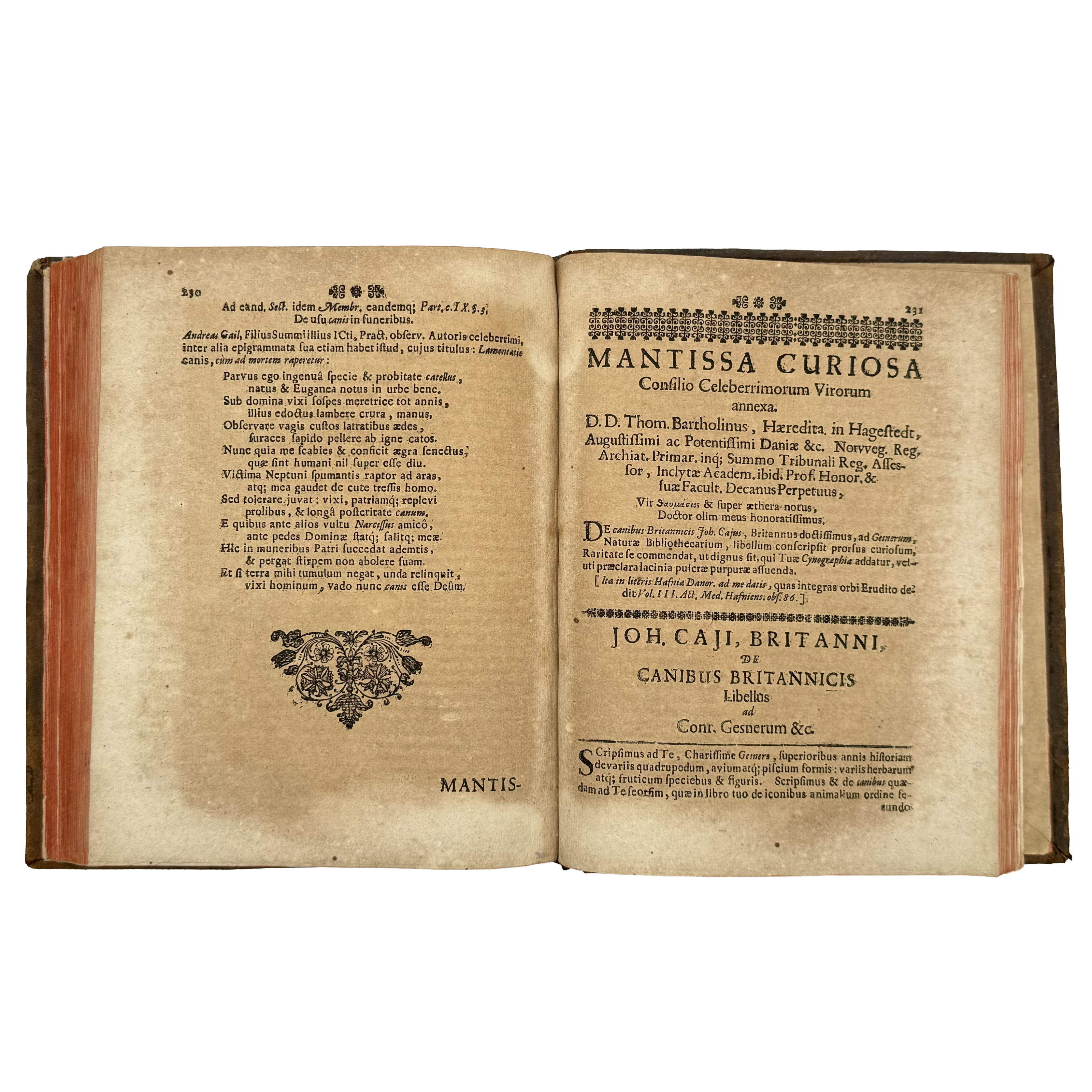 Cynographia Curiosa Seu Canis Descriptio by Paullini, Christian Franz; Paolini, Cristiano Francesco, a rare interesting detail of the 1685 - curiosa & occulta book.