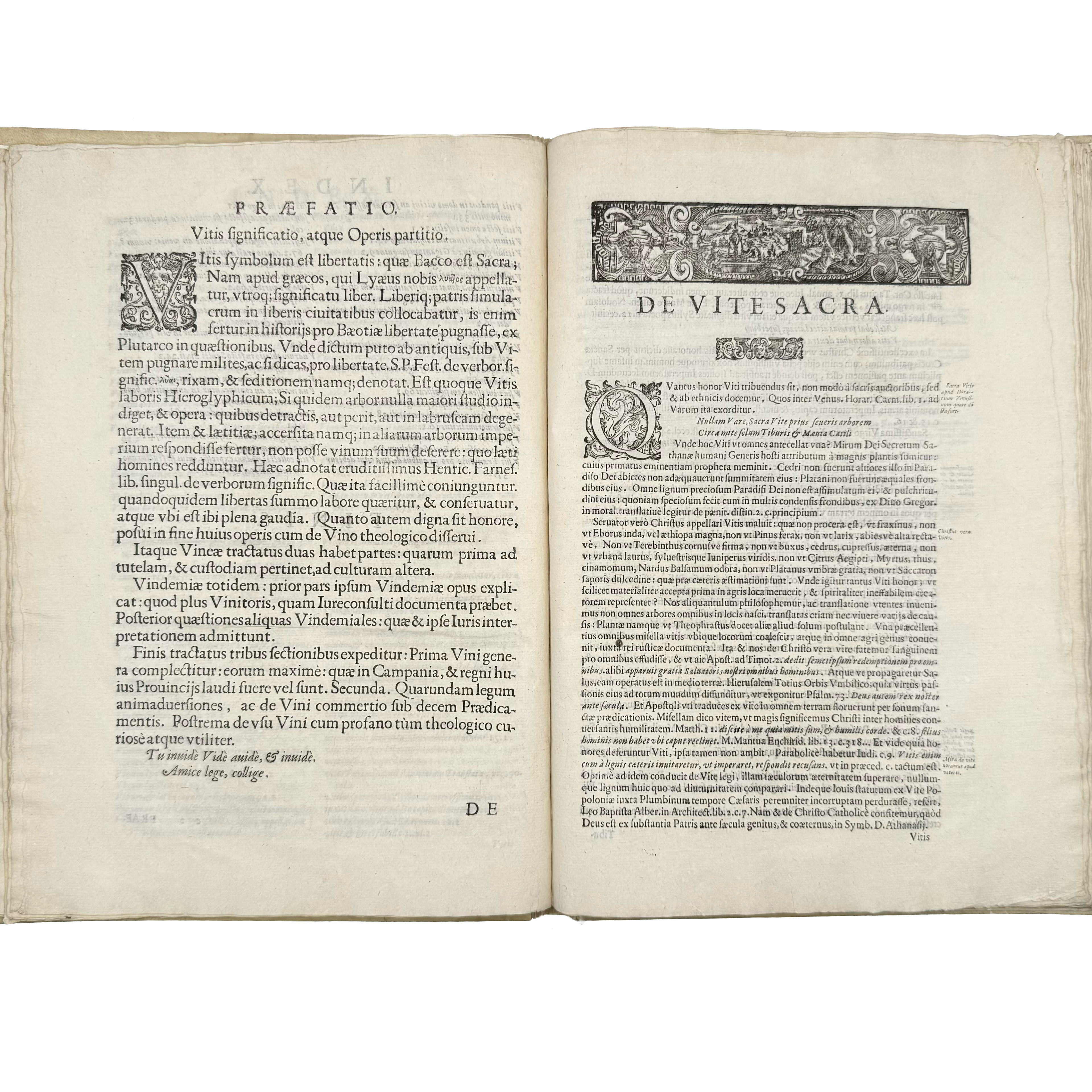 Tractatus De Vinea, Vindemia Et Vino by Rendella, Prospero, a rare detail view of the 1629 - wine book.