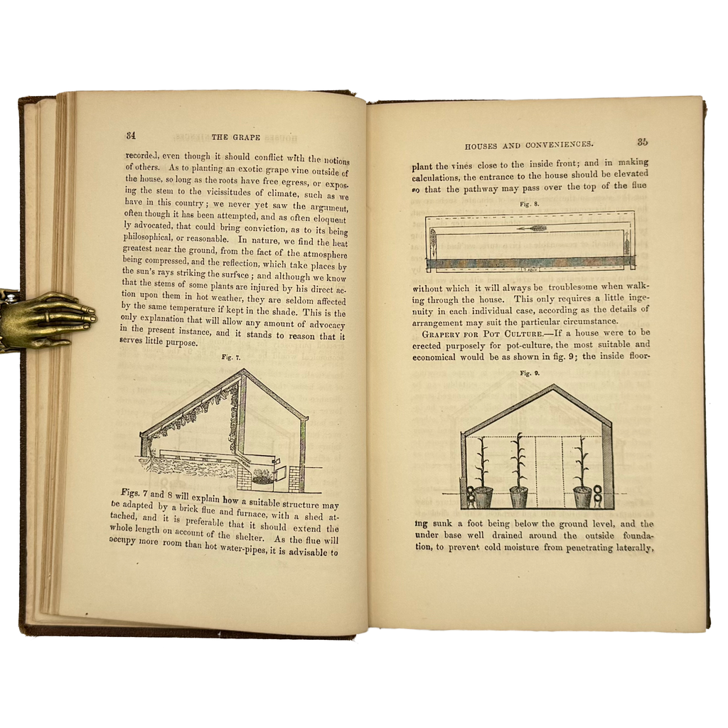 The American'S Grape Grower Guide by Chorlton, William, a rare view of the 1852 - wine book.