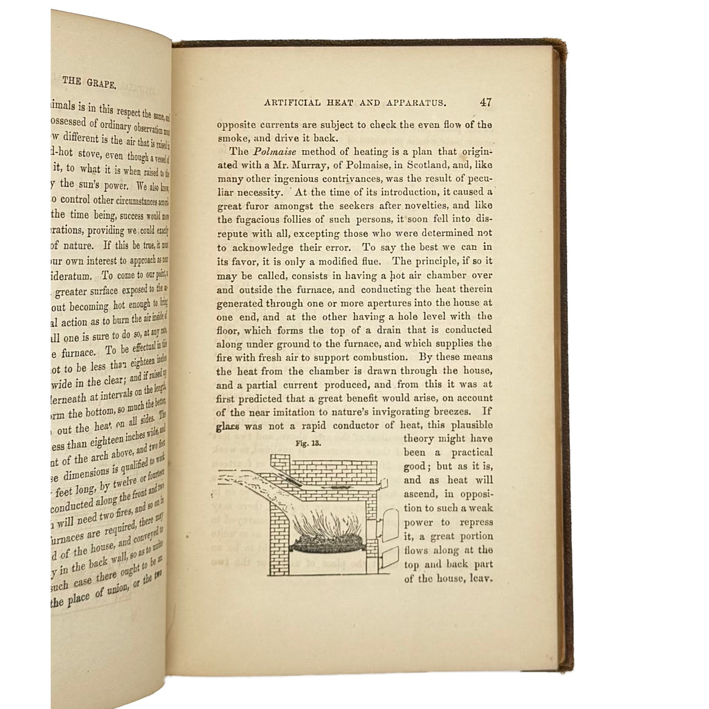 The American'S Grape Grower Guide by Chorlton, William, a rare illustrated detail of the 1852 - wine book.