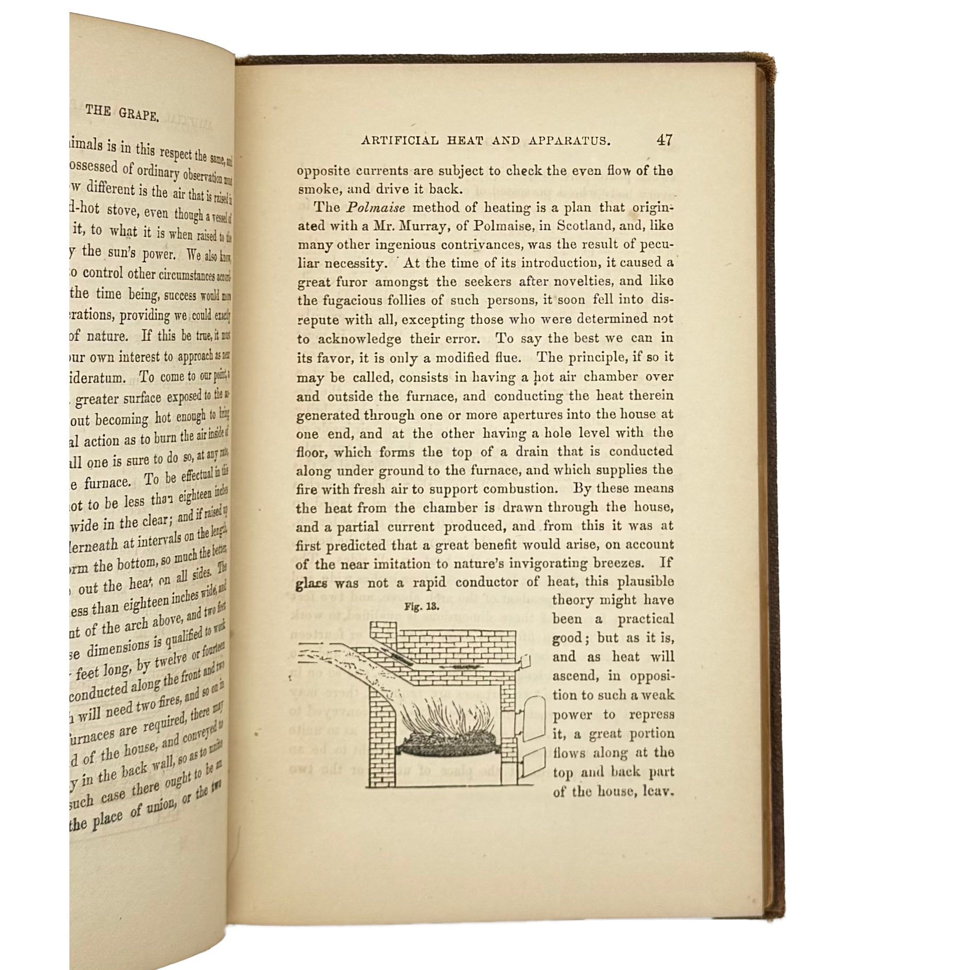 The American'S Grape Grower Guide by Chorlton, William, a rare illustrated detail of the 1852 - wine book.