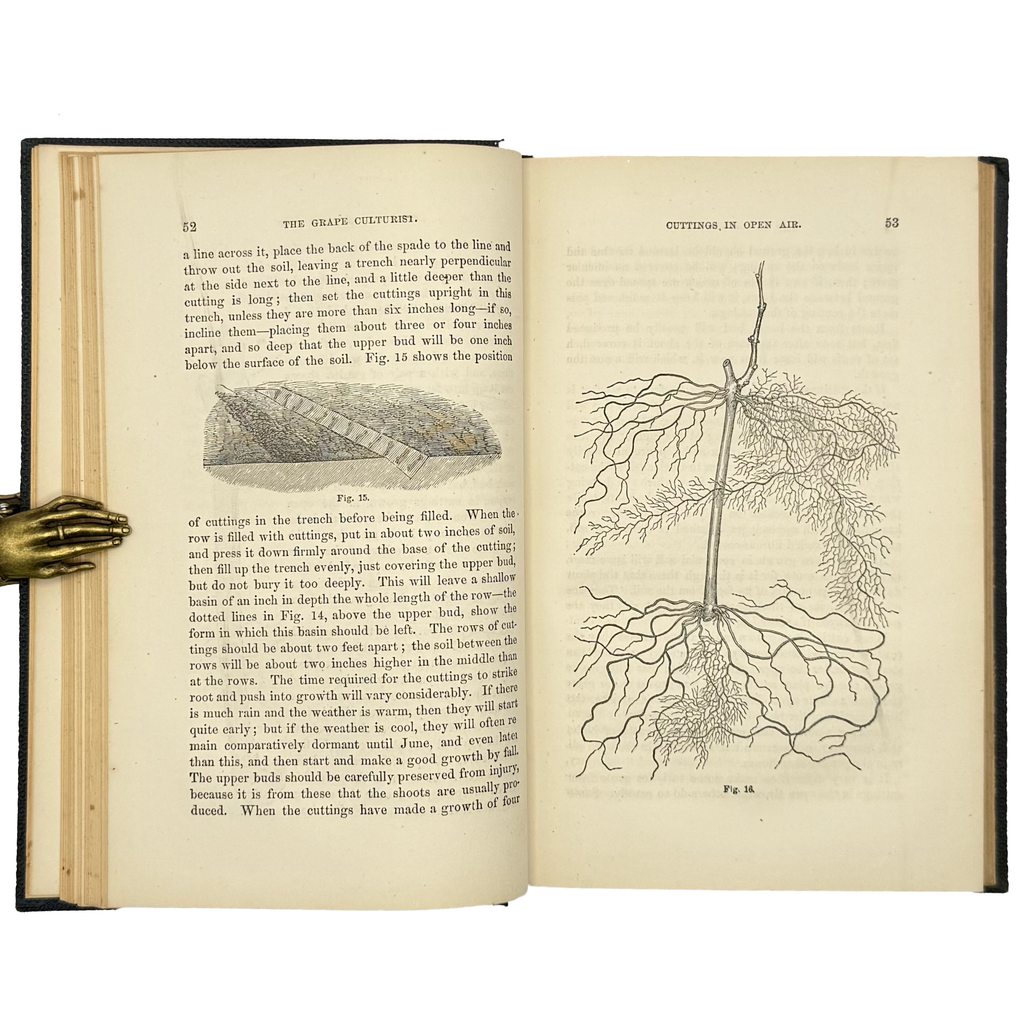 The Grape Culturist by Fuller, Andrew S., a rare sample view of the 1866 - wine book.