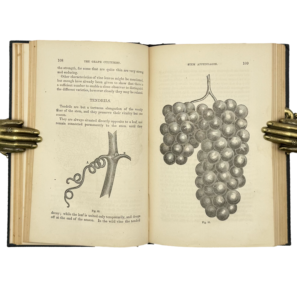 The Grape Culturist by Fuller, Andrew S., a rare captivating detail of the 1866 - wine book.