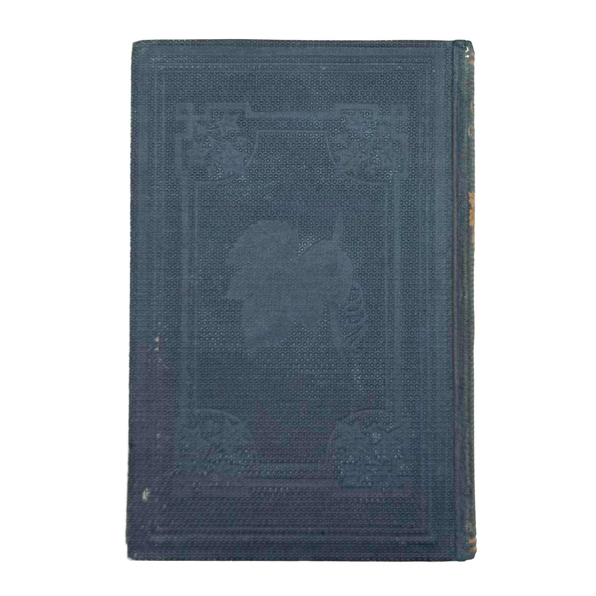 The Grape Culturist by Fuller, Andrew S., a rare image of the 1866 - wine book.