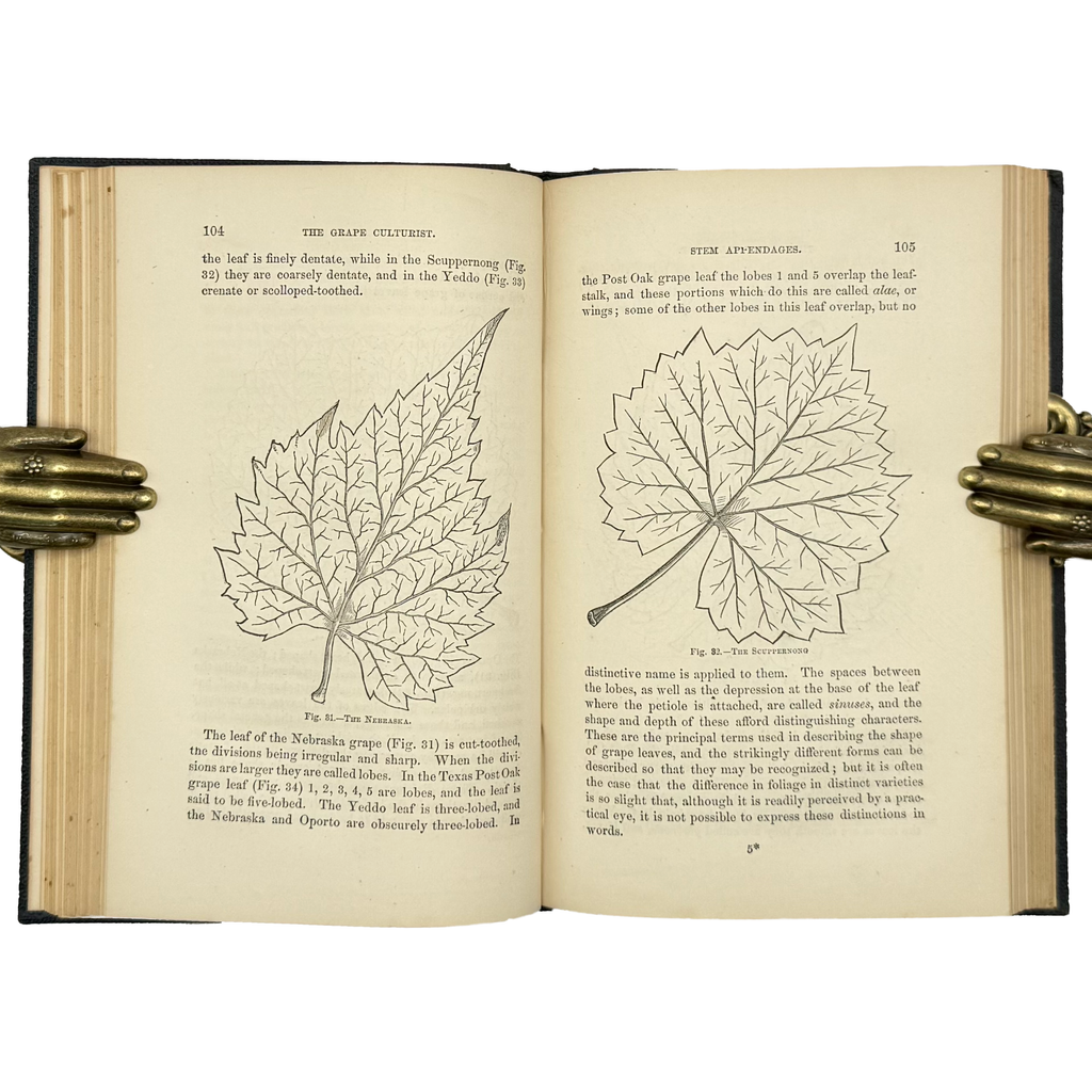 The Grape Culturist by Fuller, Andrew S., a rare photograph of the 1866 - wine book.