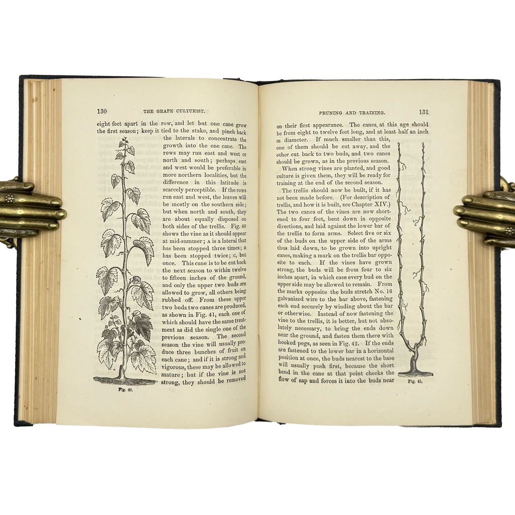 The Grape Culturist by Fuller, Andrew S., a rare example from the work of the 1866 - wine book.