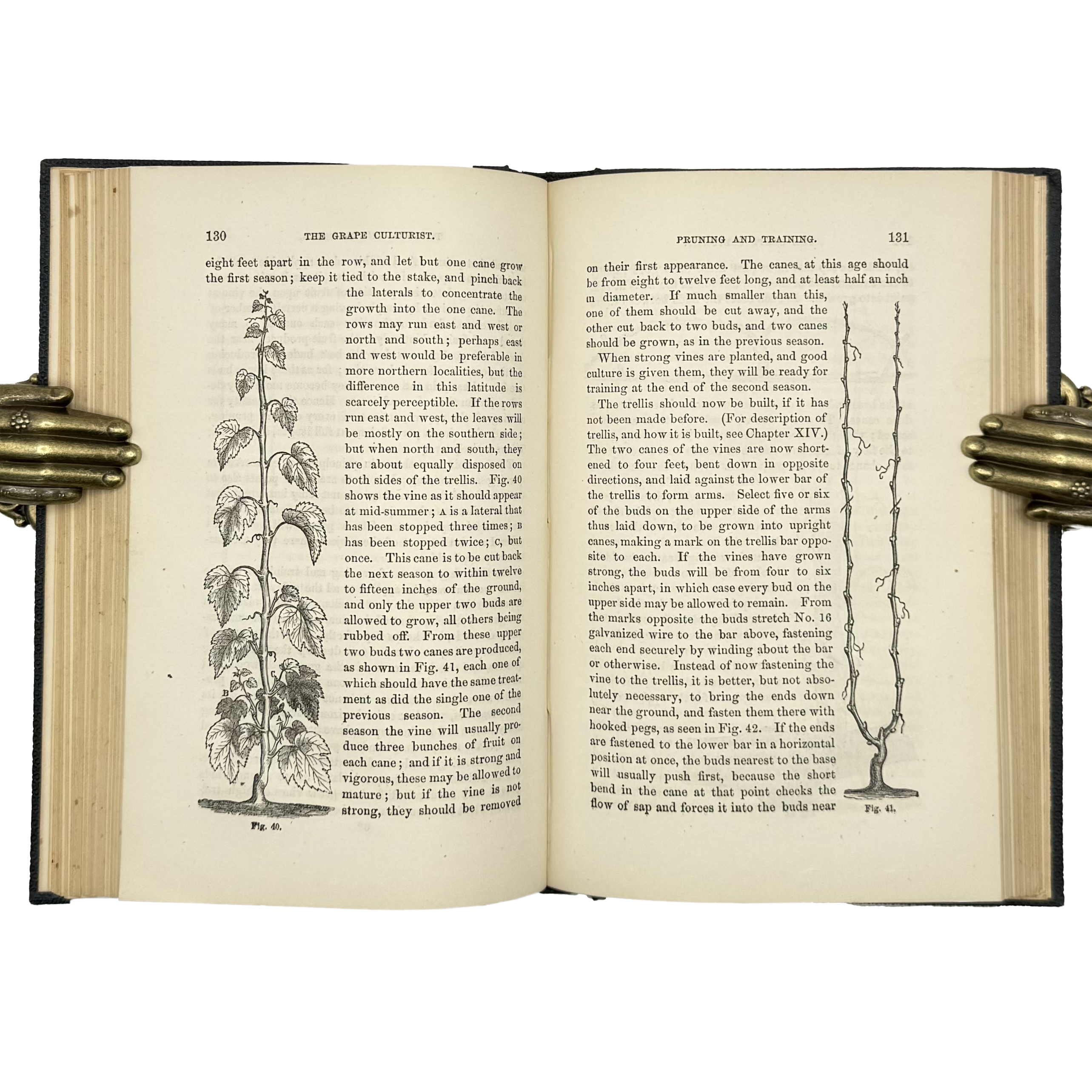 The Grape Culturist by Fuller, Andrew S., a rare example from the work of the 1866 - wine book.