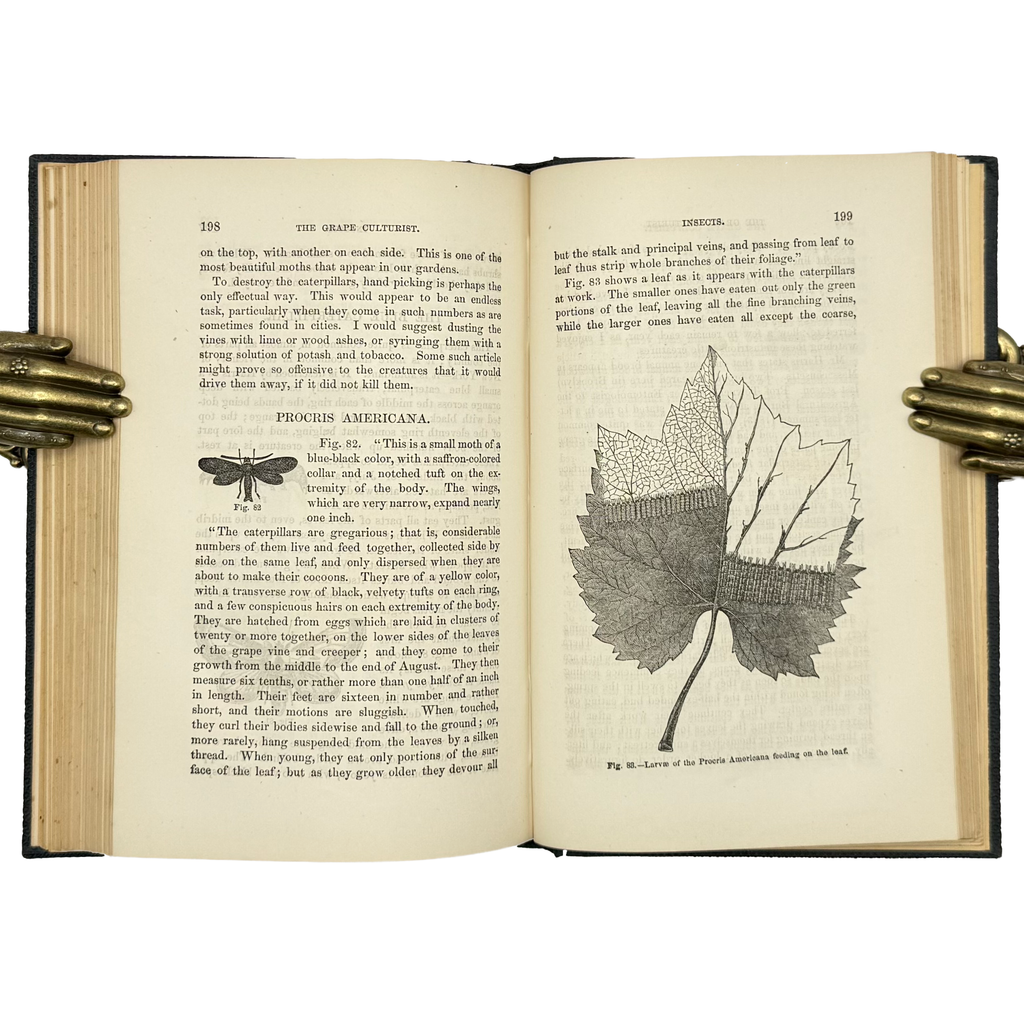 The Grape Culturist by Fuller, Andrew S., a rare highlight from the volume of the 1866 - wine book.