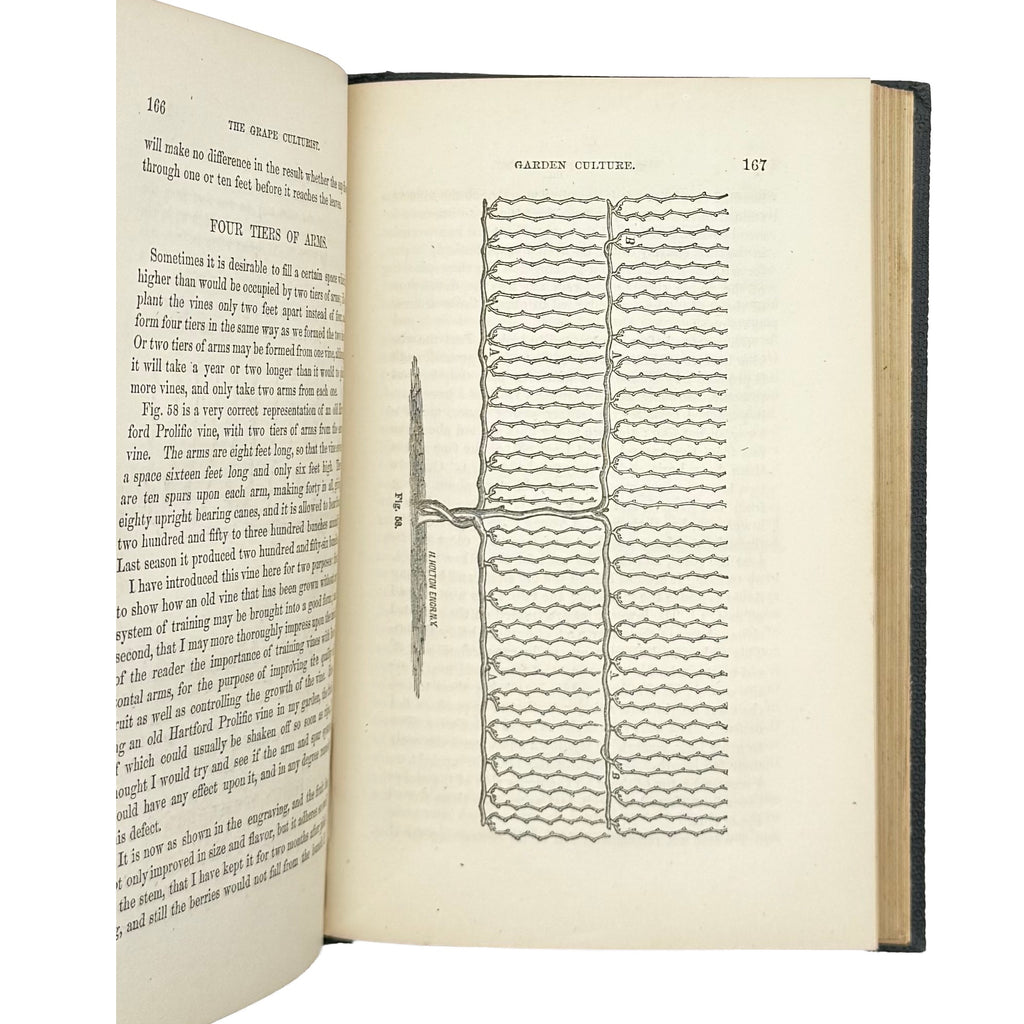 The Grape Culturist by Fuller, Andrew S., a rare representative view of the 1866 - wine book.