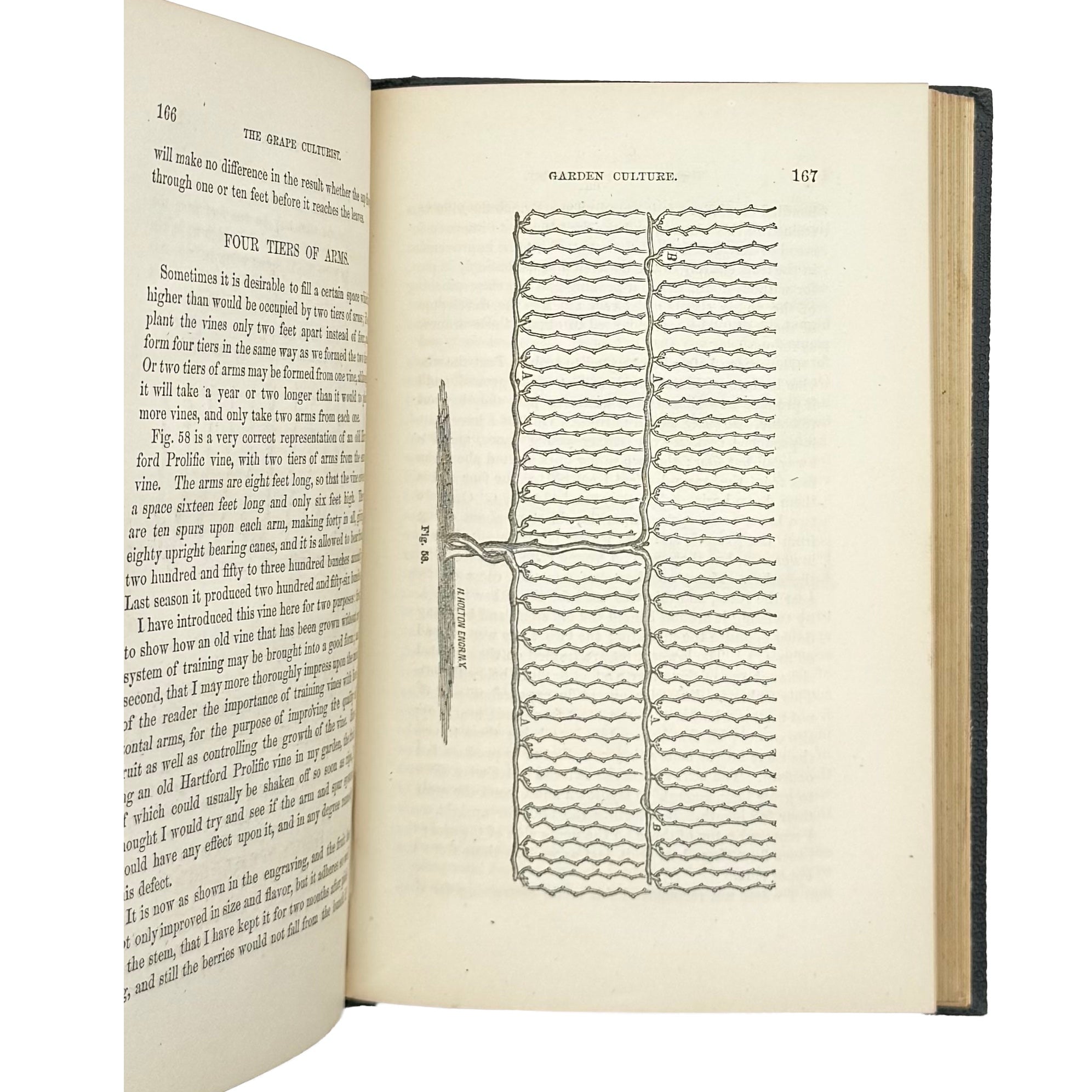 The Grape Culturist by Fuller, Andrew S., a rare representative view of the 1866 - wine book.