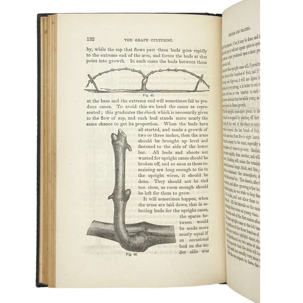 The Grape Culturist by Fuller, Andrew S., a rare representative view of the 1866 - wine book.