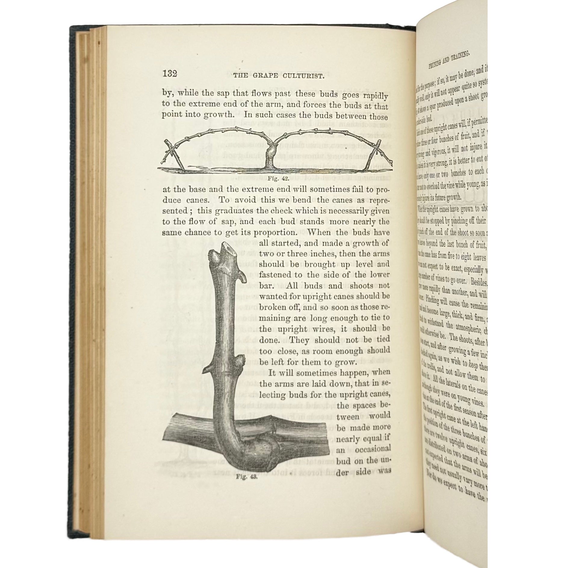 The Grape Culturist by Fuller, Andrew S., a rare representative view of the 1866 - wine book.