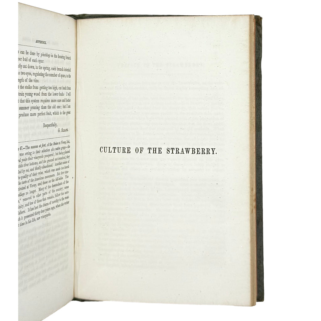 The Culture Of The Grape And Wine Making by Buchanan, Robert, a rare illustrated detail of the 1855 - wine book.
