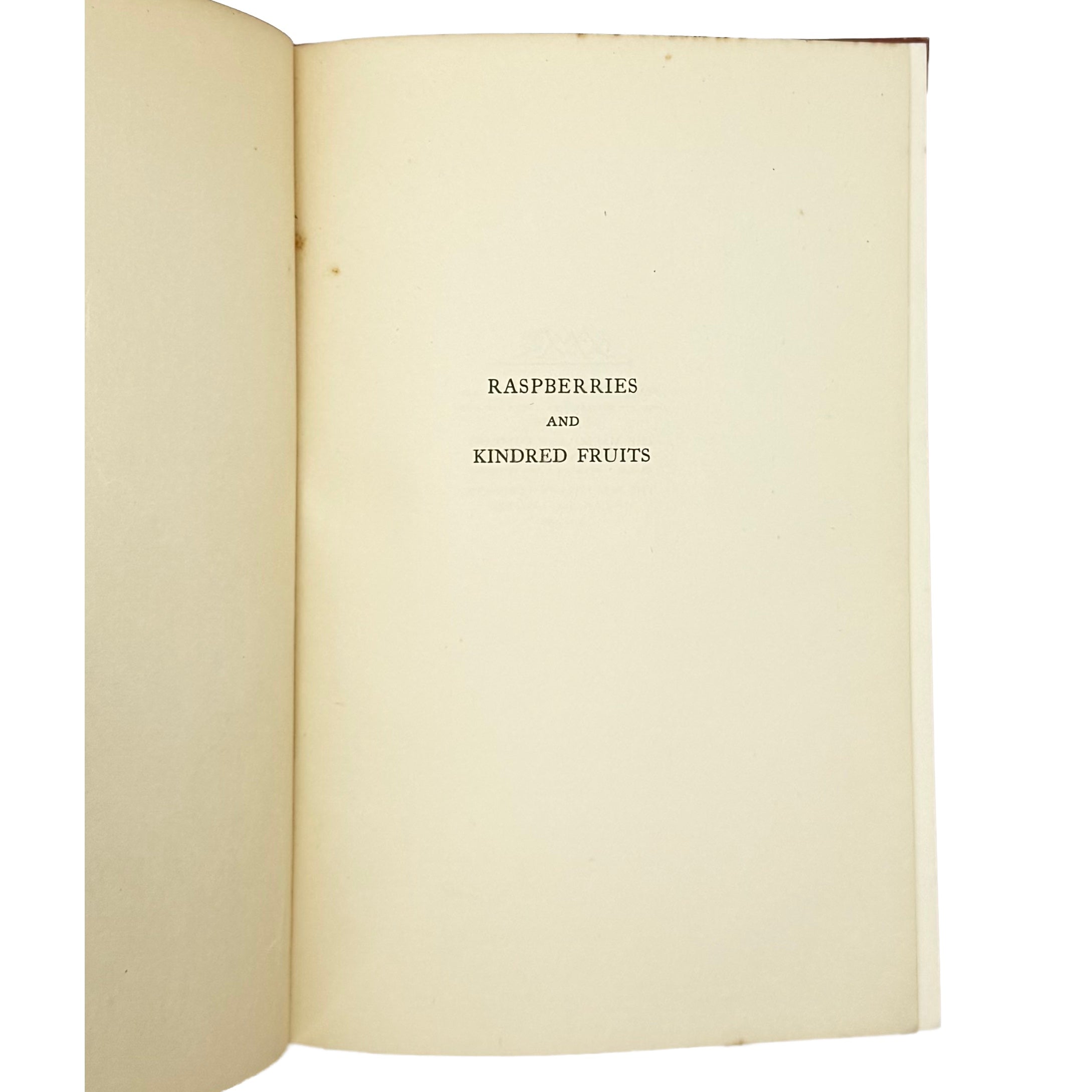 Raspberries by Markham, Ernest, a rare sample view of the 1936 - gastronomy book.
