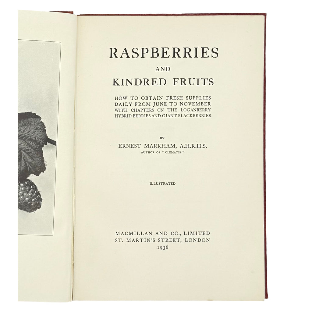 Raspberries by Markham, Ernest, a rare highlight from the volume of the 1936 - gastronomy book.