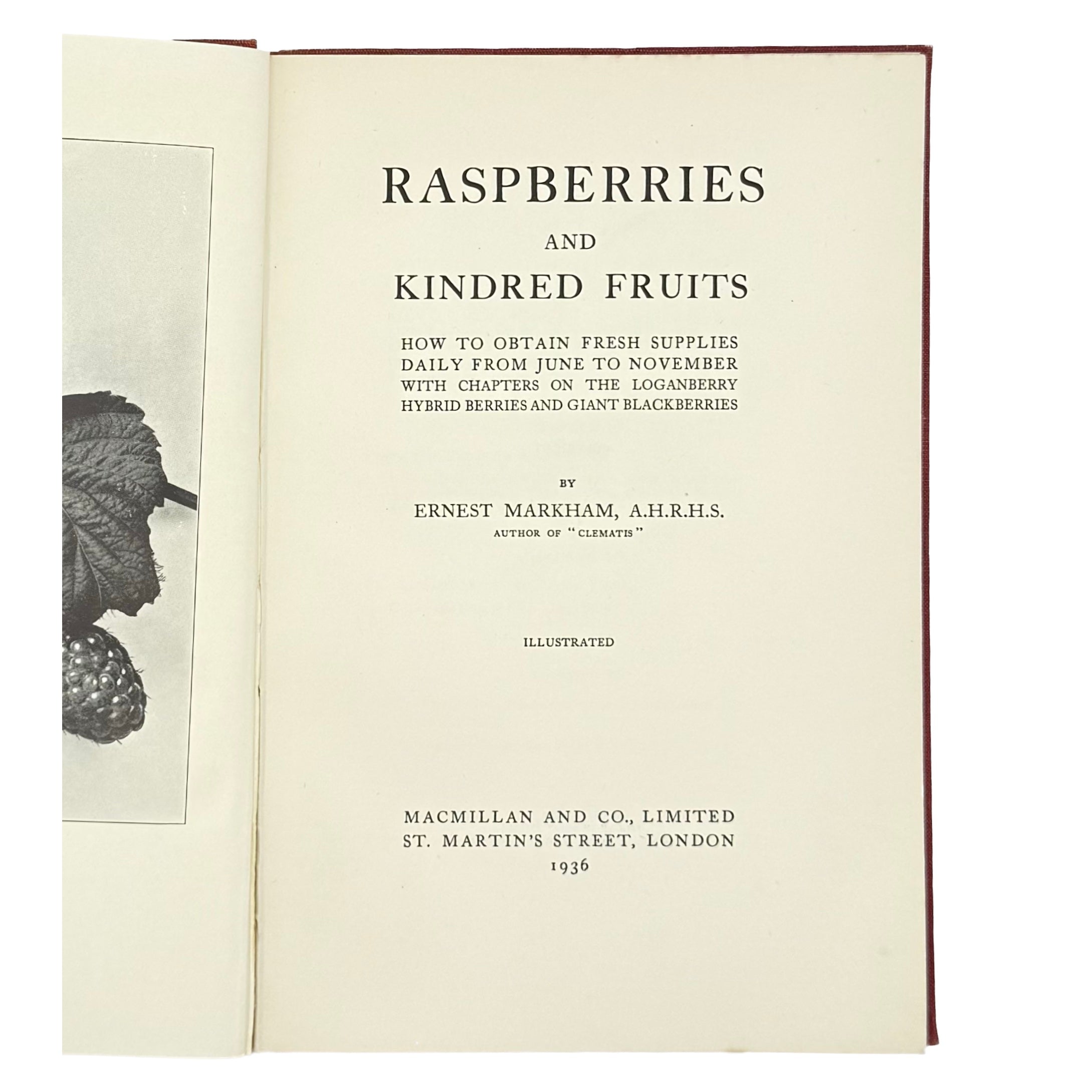 Raspberries by Markham, Ernest, a rare highlight from the volume of the 1936 - gastronomy book.