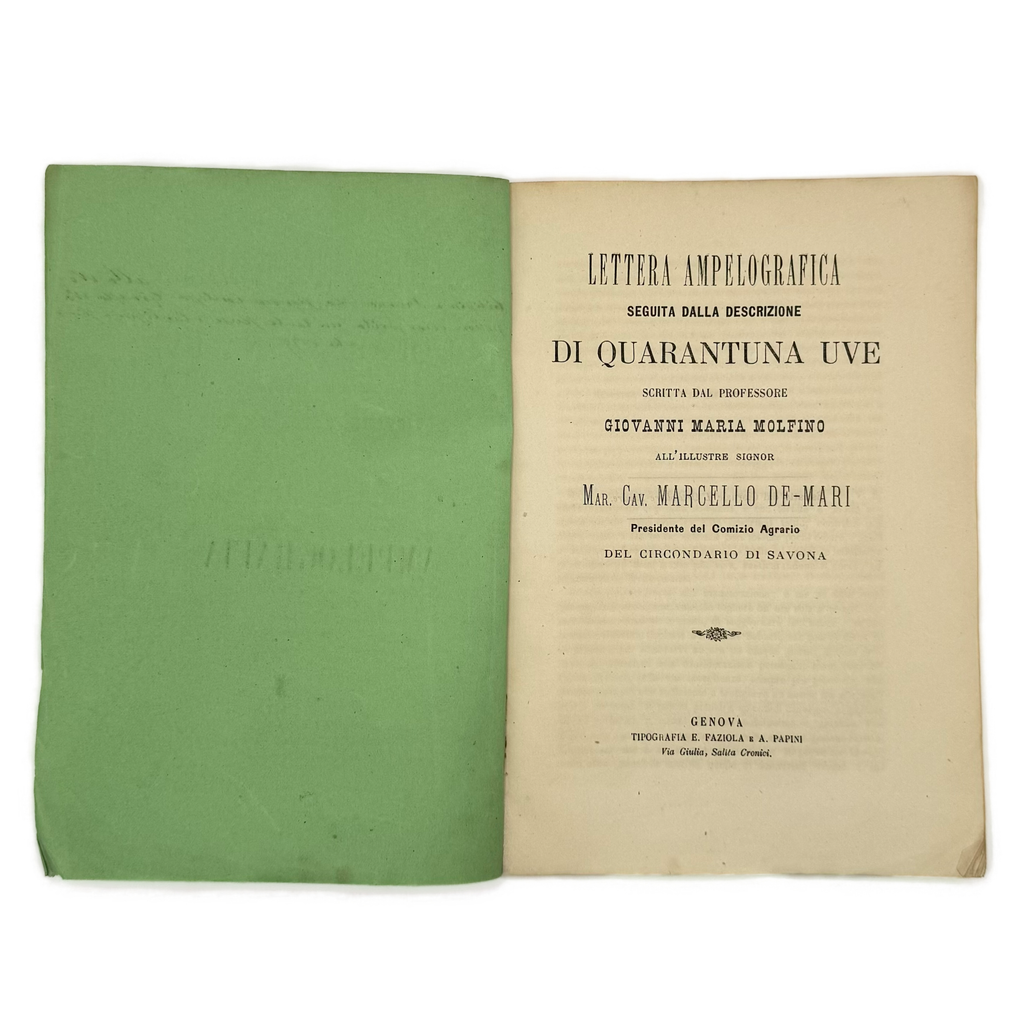 Lettera Ampelografica