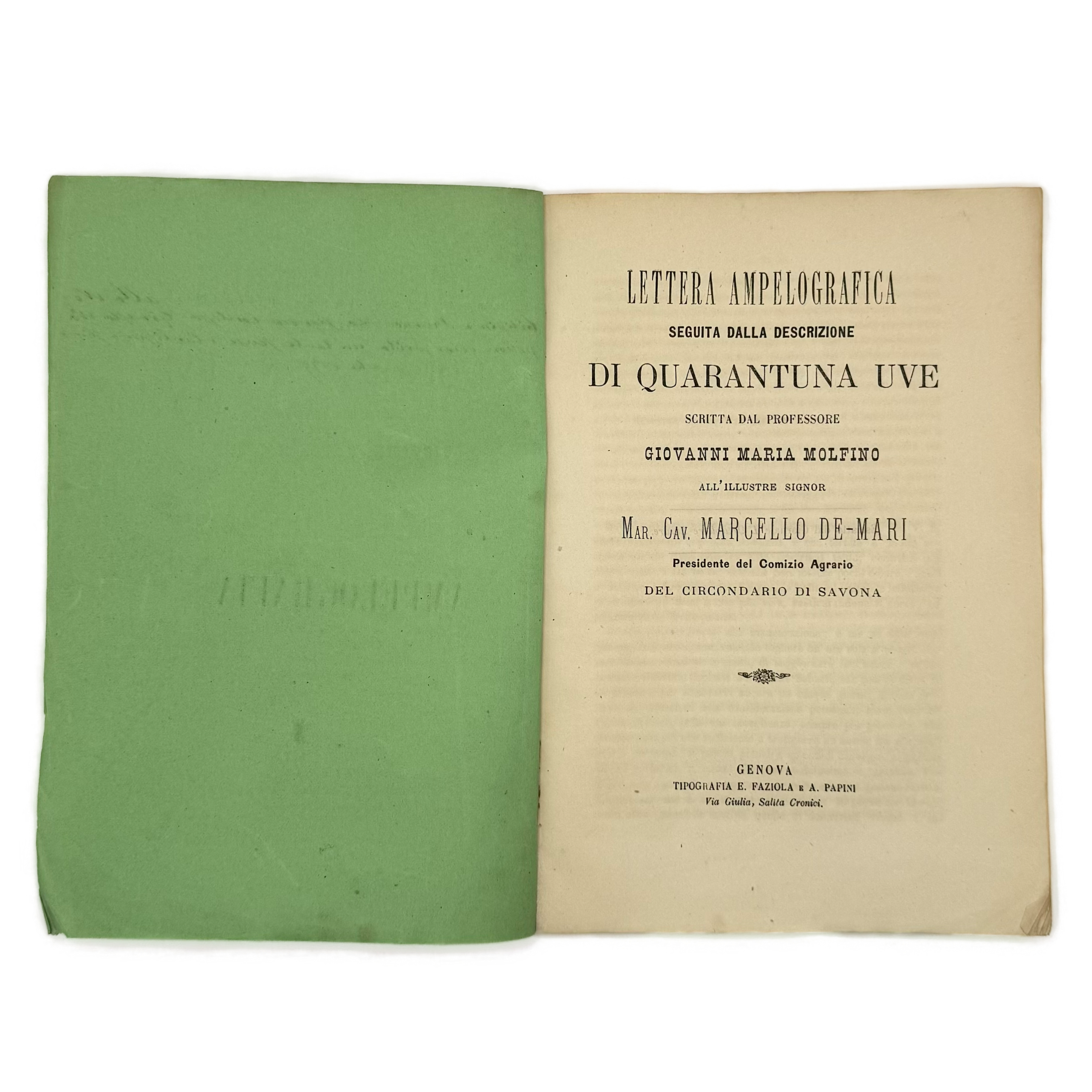 Lettera Ampelografica