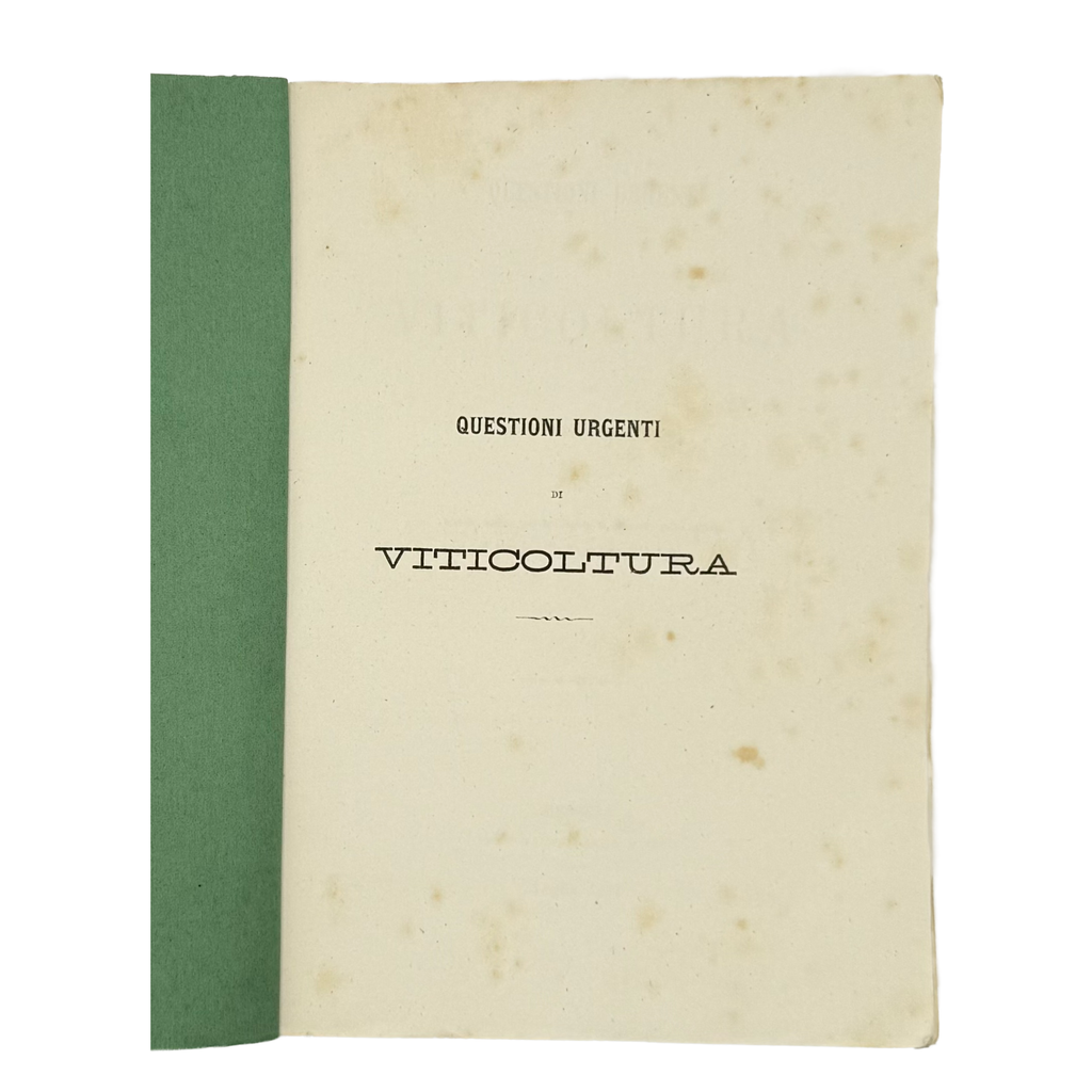 Lettera Ampelografica by Molfino, Gian Maria, a rare detail of the 1878 - wine book.