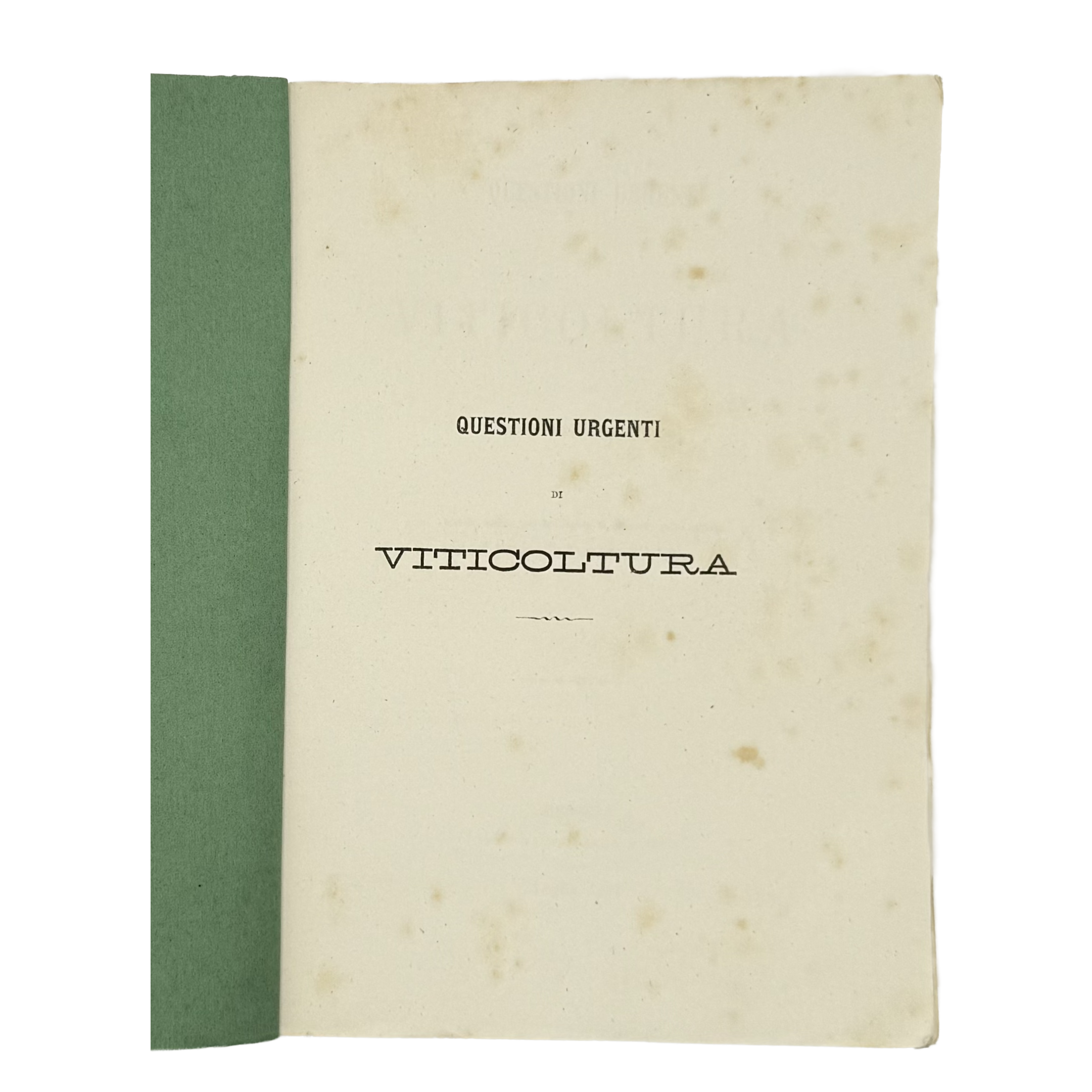 Lettera Ampelografica by Molfino, Gian Maria, a rare detail of the 1878 - wine book.