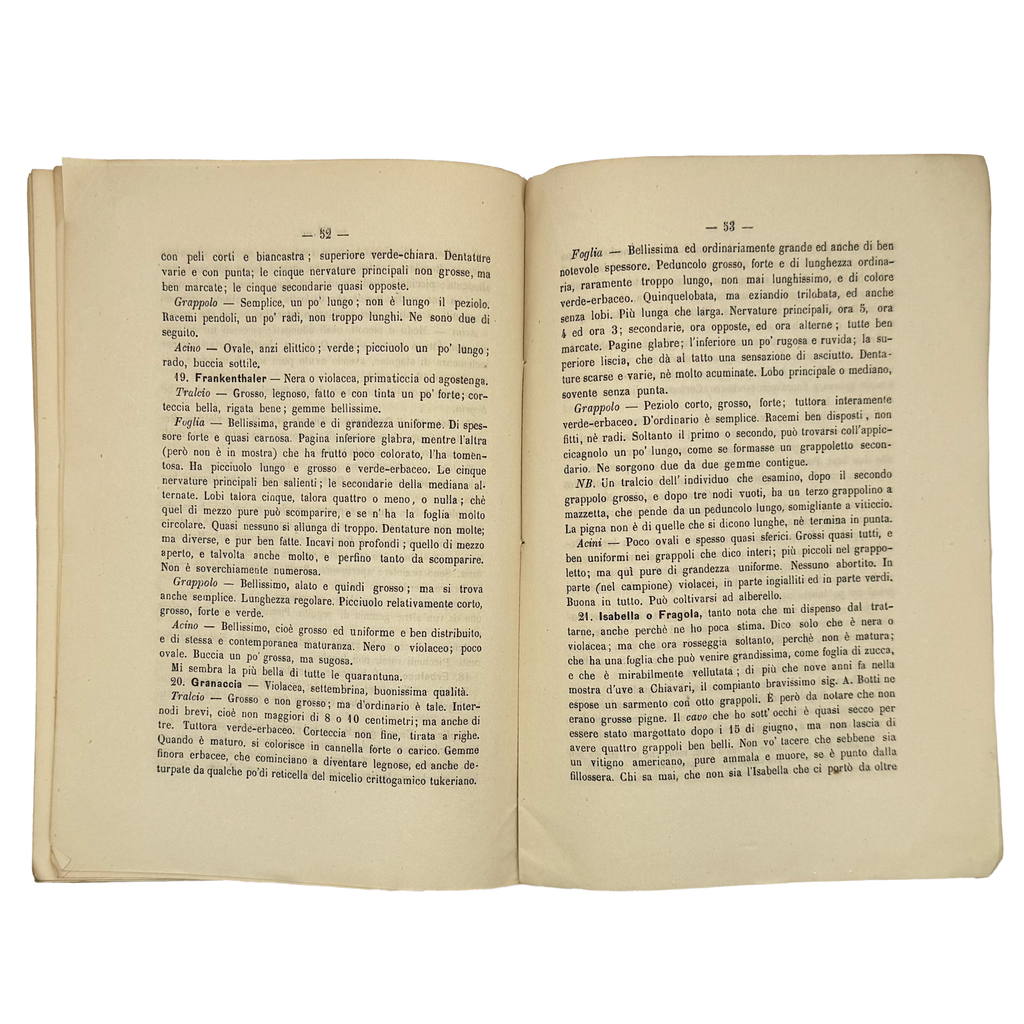 Lettera Ampelografica by Molfino, Gian Maria, a rare sample view of the 1878 - wine book.